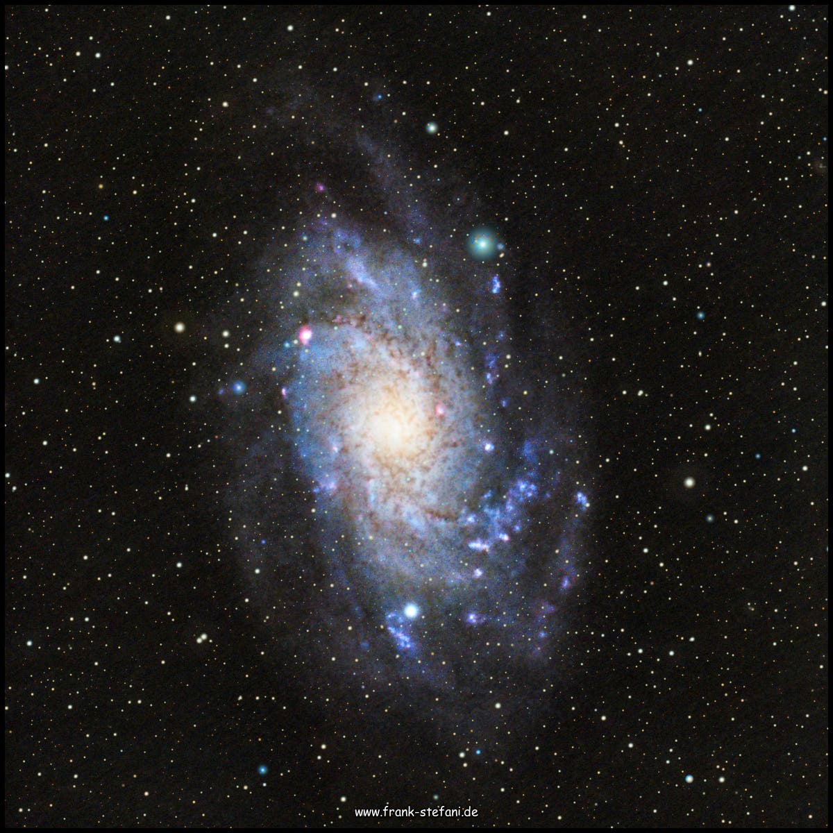 NGC598 (Tri) / M33 - Die Dreiecksgalaxie