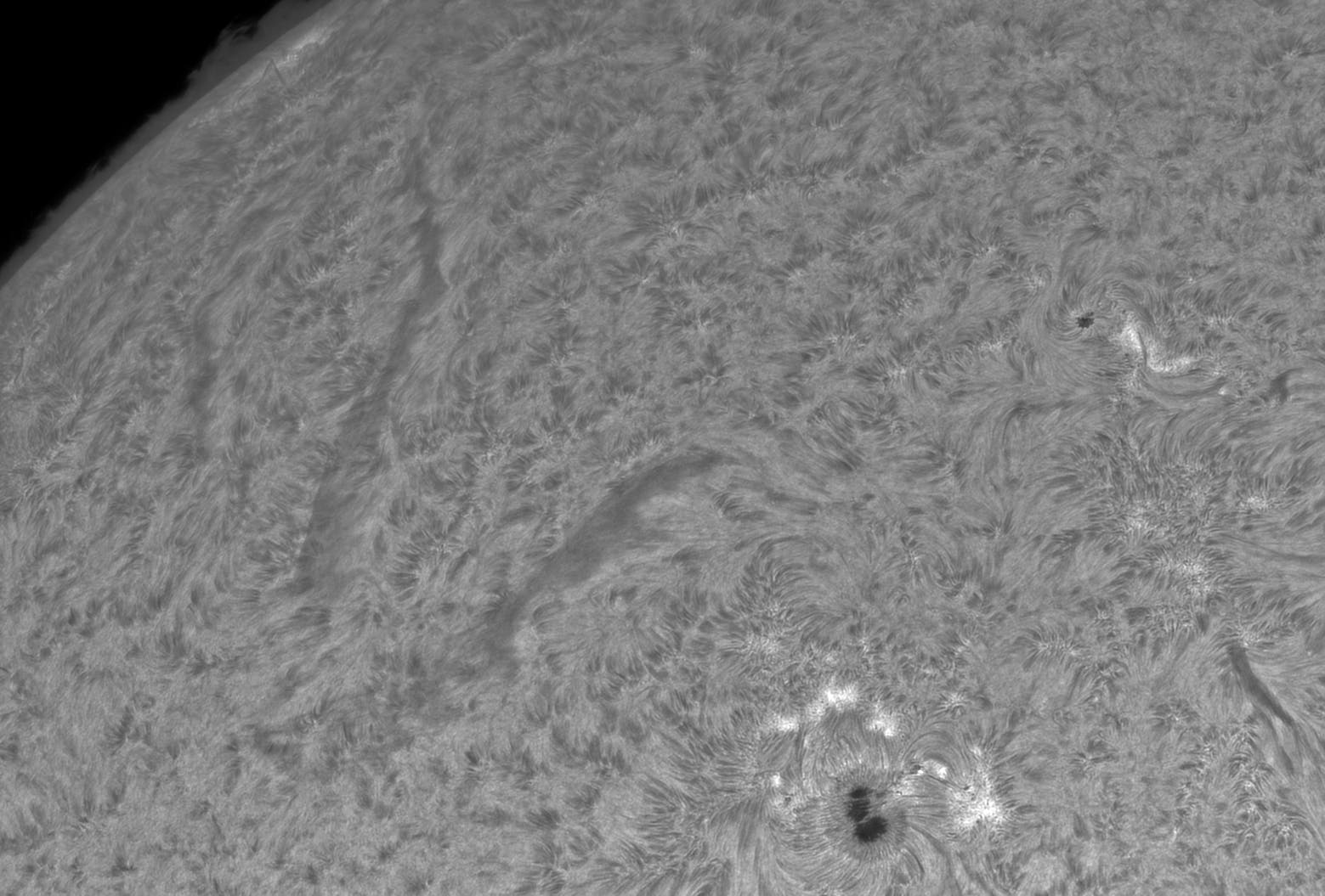 Sonne in H-alpha - 7. April 