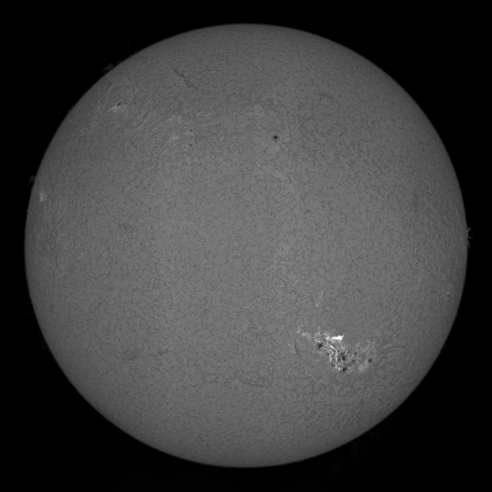 Ganze Sonne in H-alpha am 10. Mai 2024