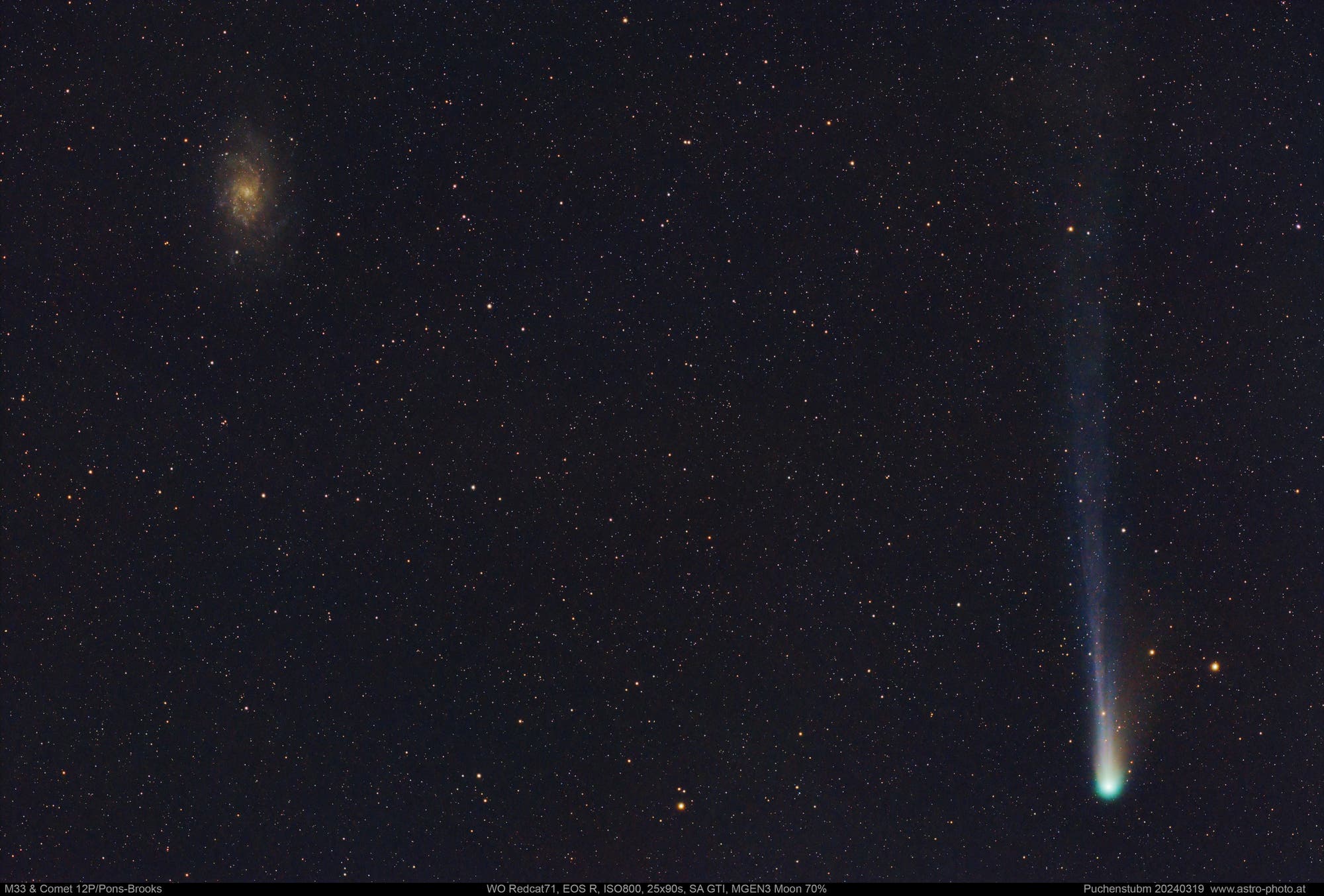Komet 12P/Pons-Brooks bei M33