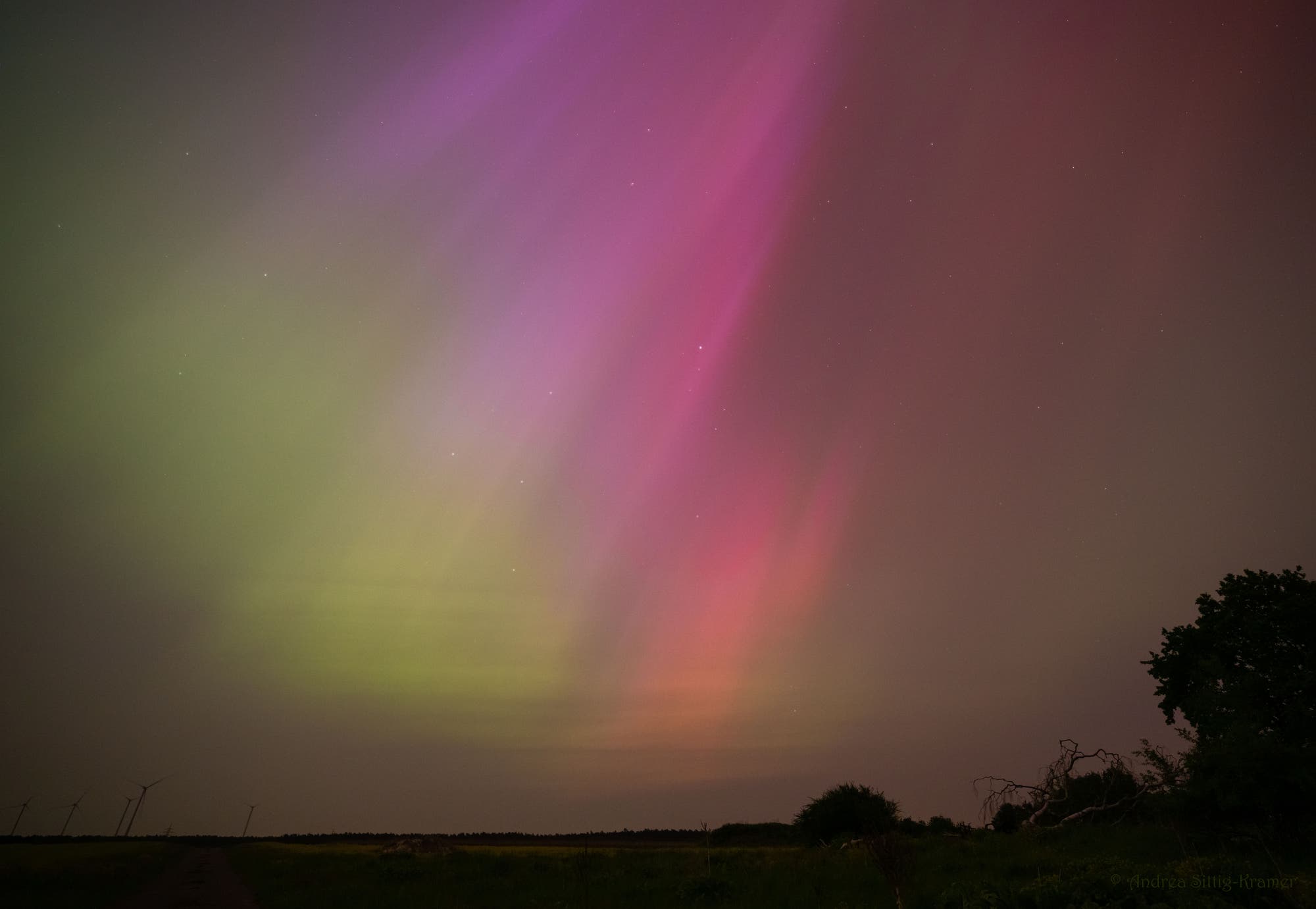 Farbenprächtige Polarlichter über Uelzen – 11. Mai 2024 – 00:17