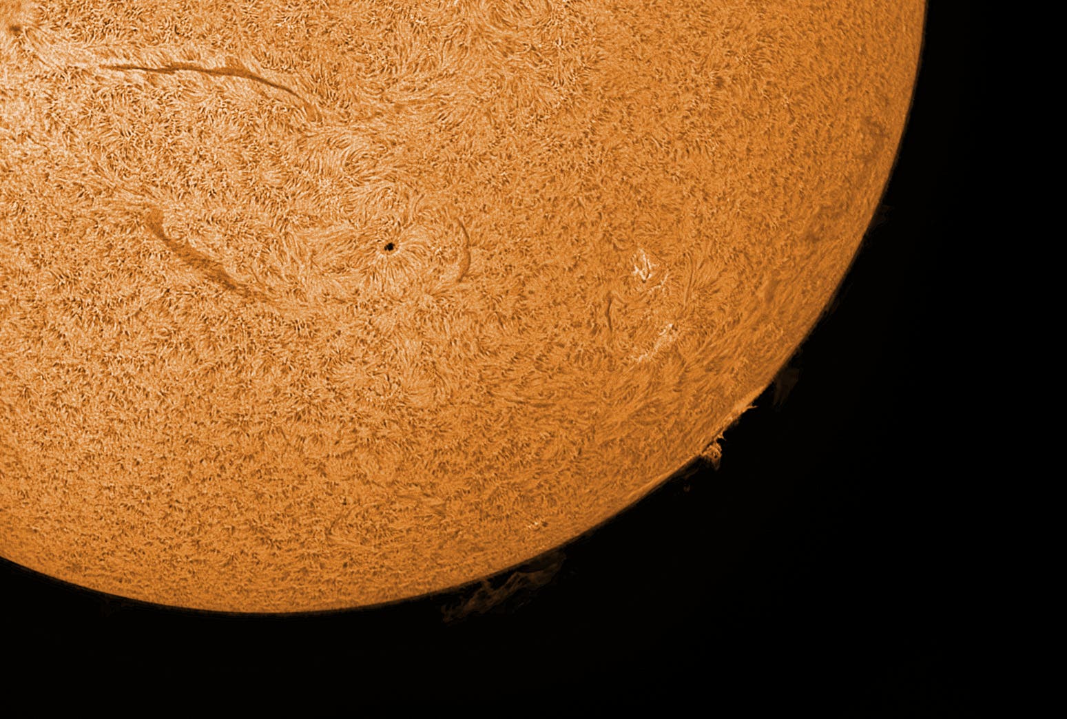 Große Protuberanzen auf der Sonnenscheibe