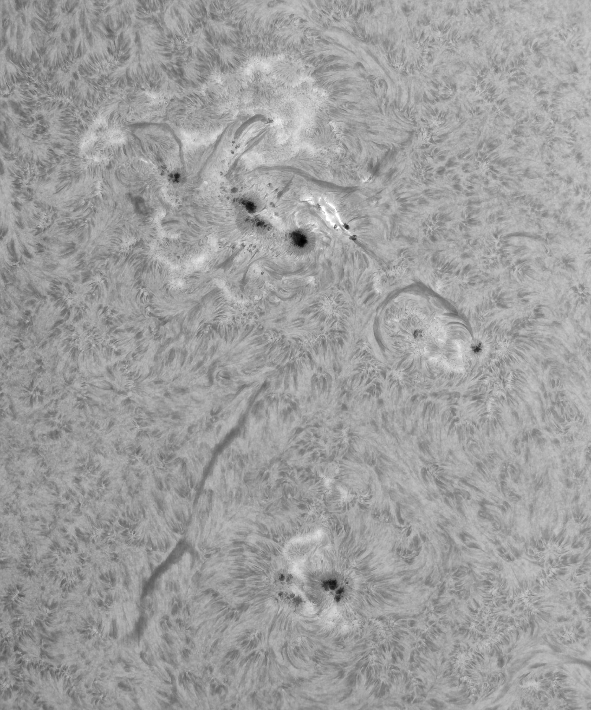 AR 4099+4100 in H-alpha am 31. Mai