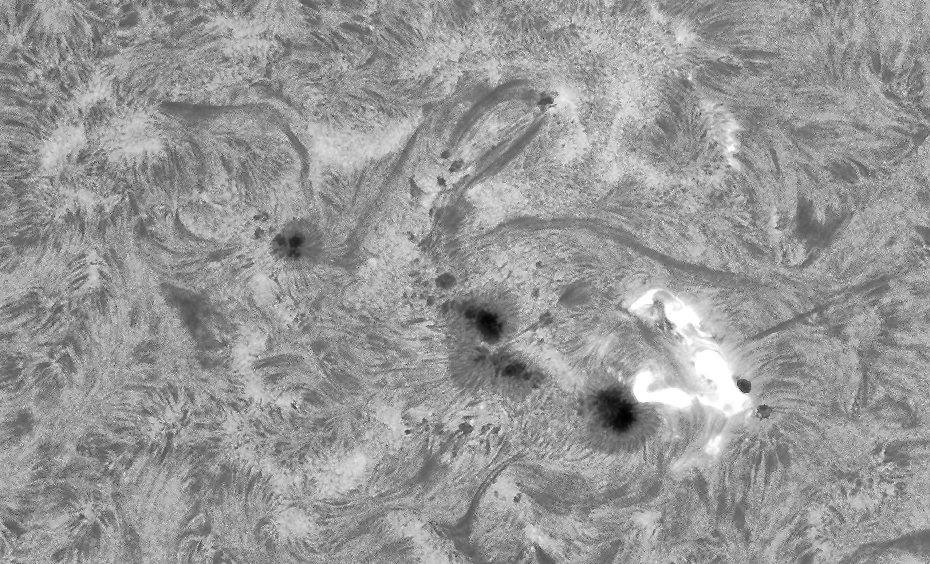 M-Klasse-Flare in AR 4100