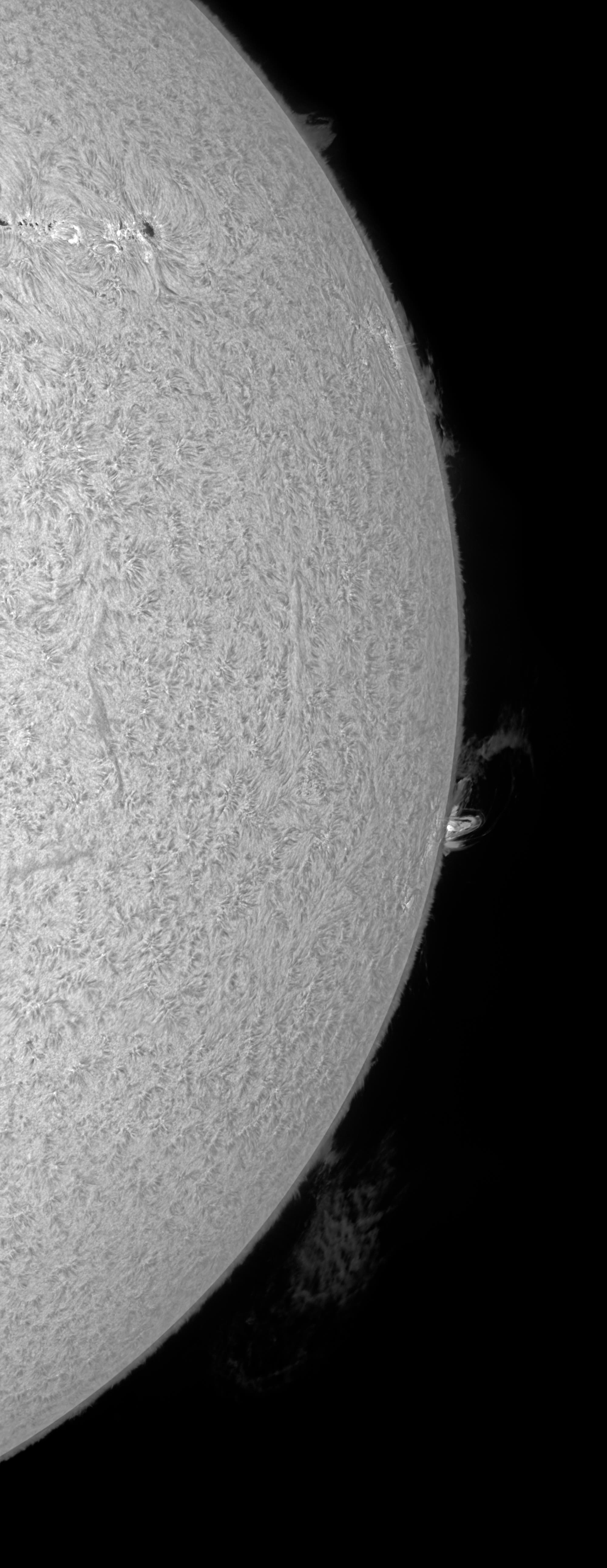 Protuberanzen am 14. Juli