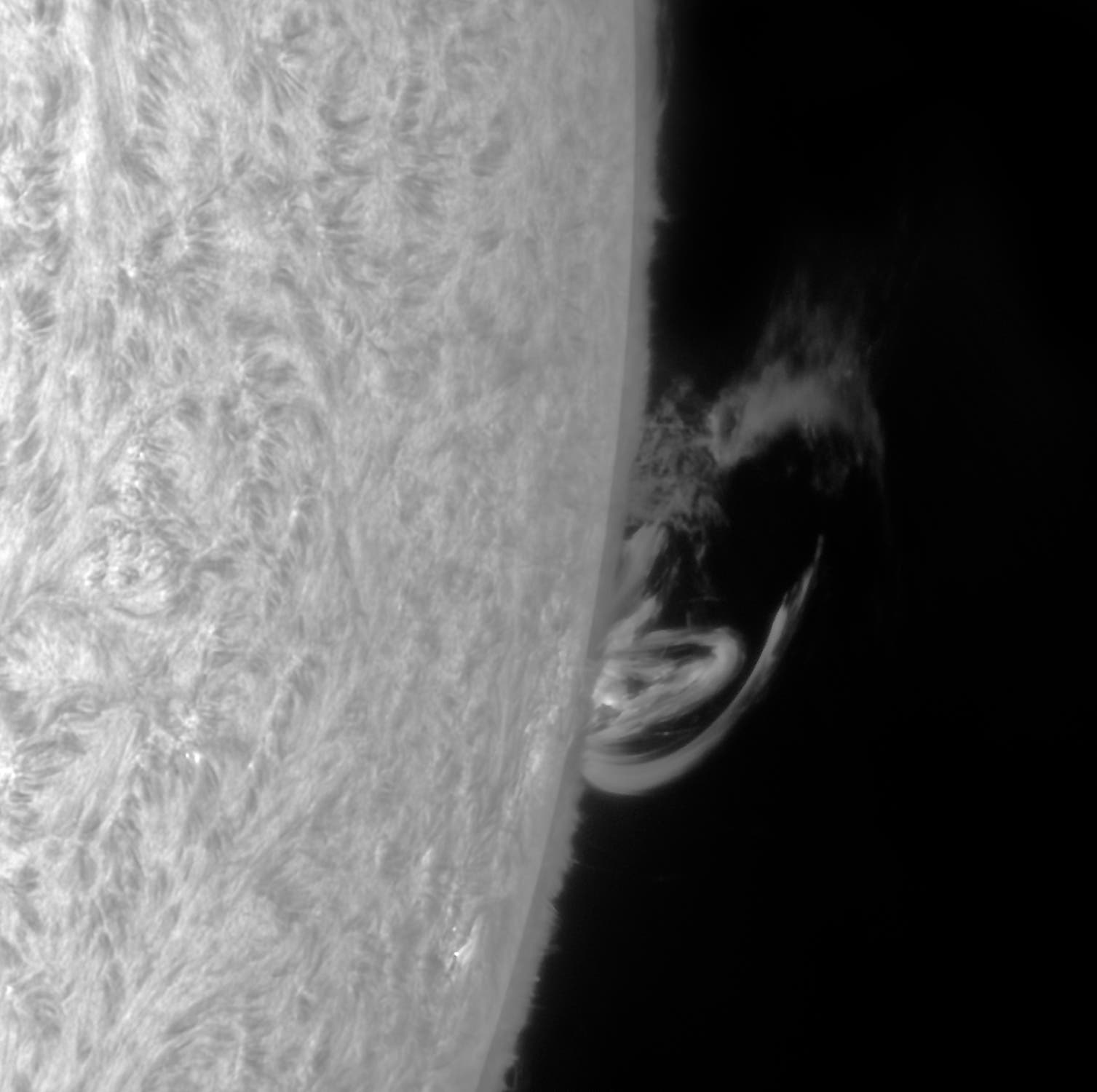 Ringförmige Protuberanz