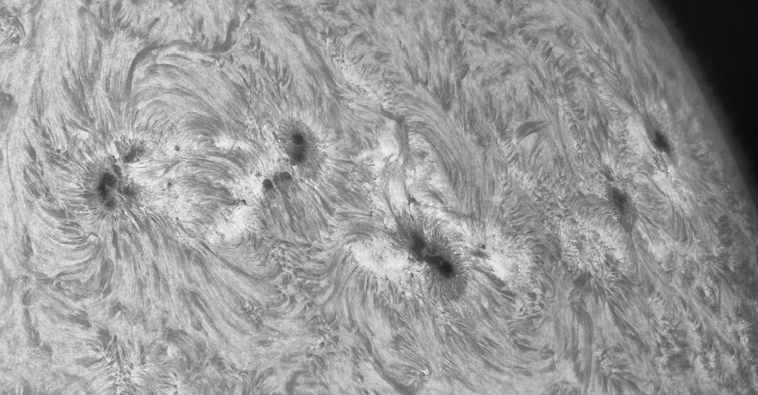Drängelei der Flecken am 19. Juli