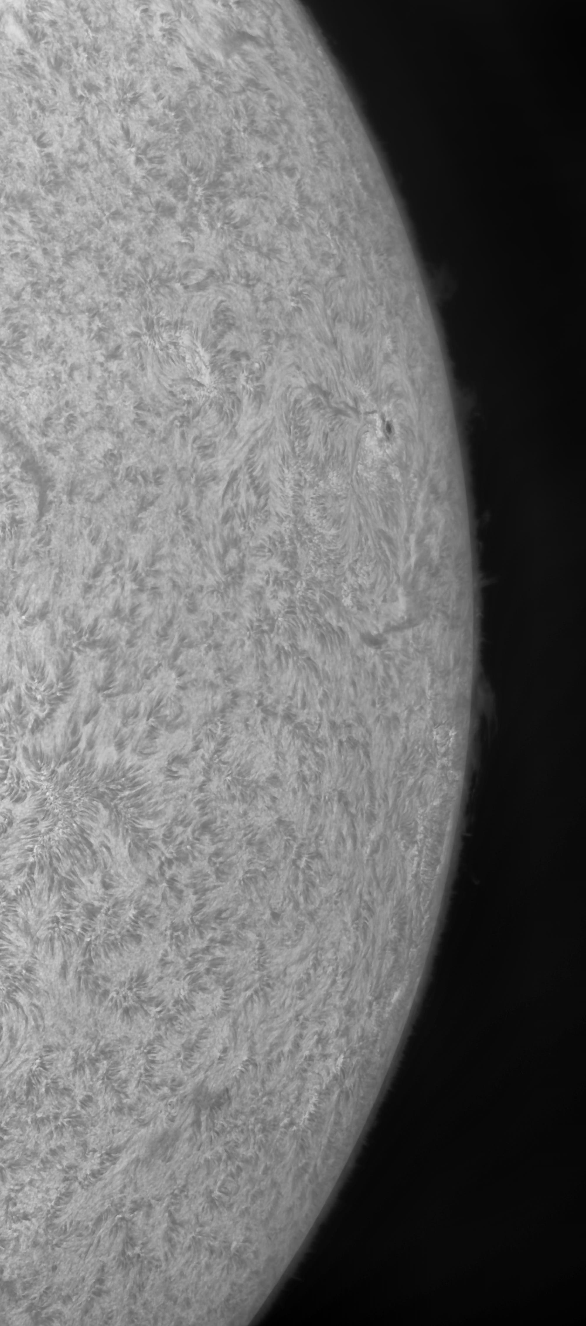 Im Westen der Sonne am 23. Juli