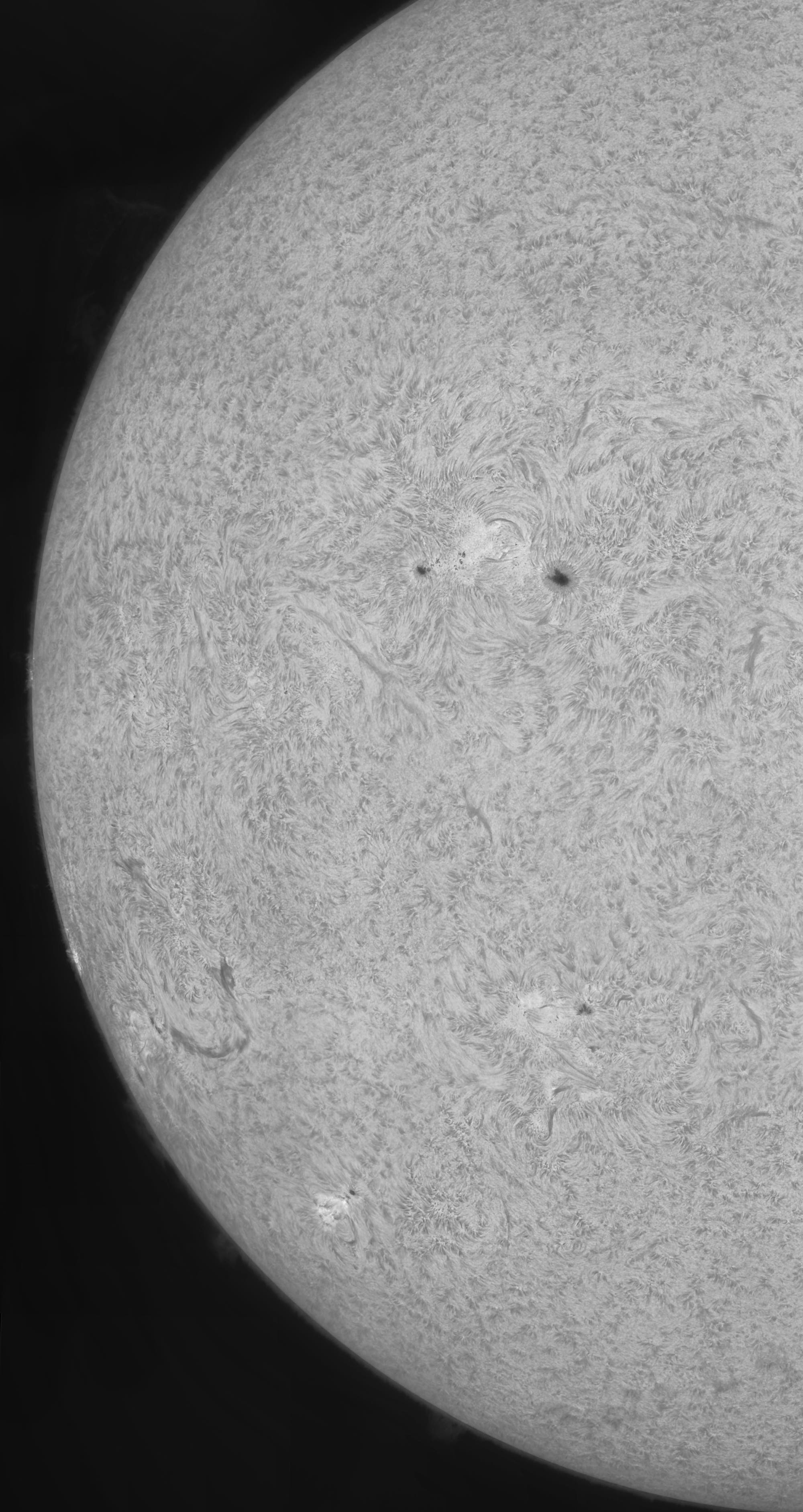 Protuberanzen, Spikulen, Filamente + Flecken am 23. Juli