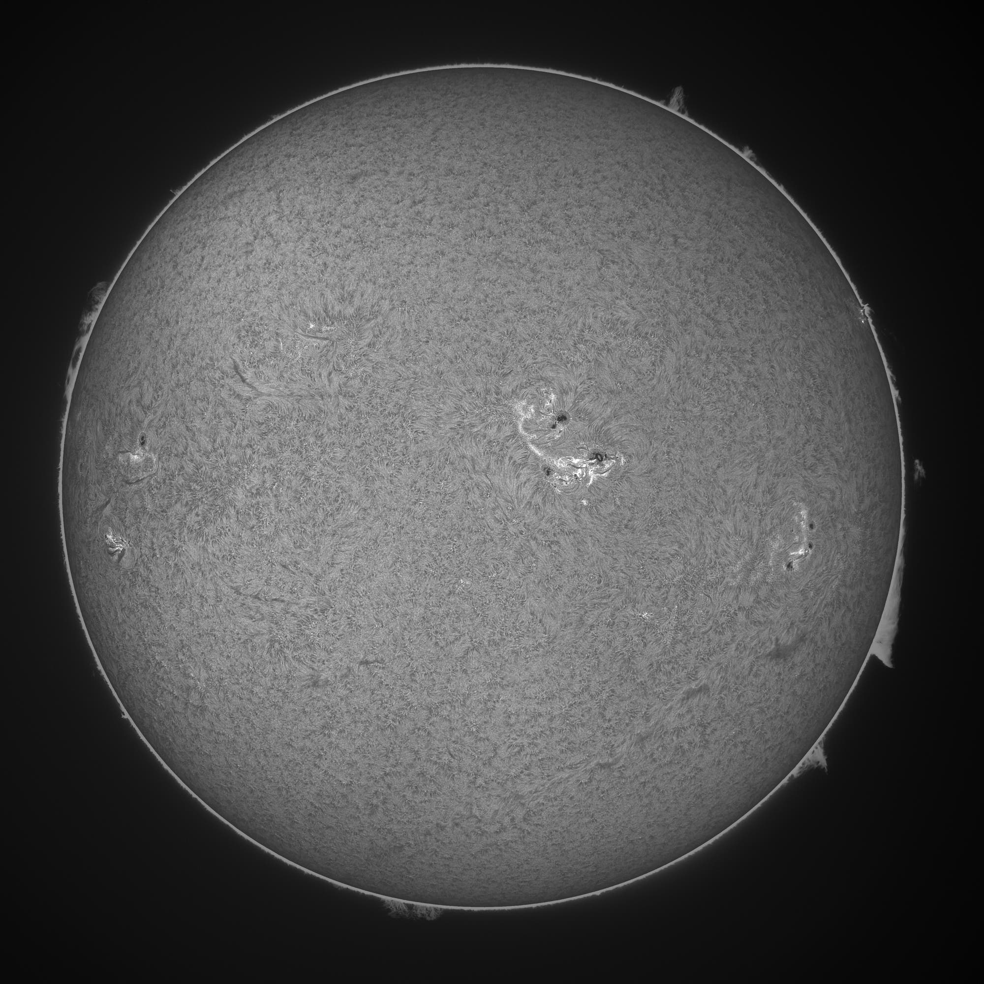 Die ganze Sonne in H-alpha heute 6. August 2025 um 07:55 UTC