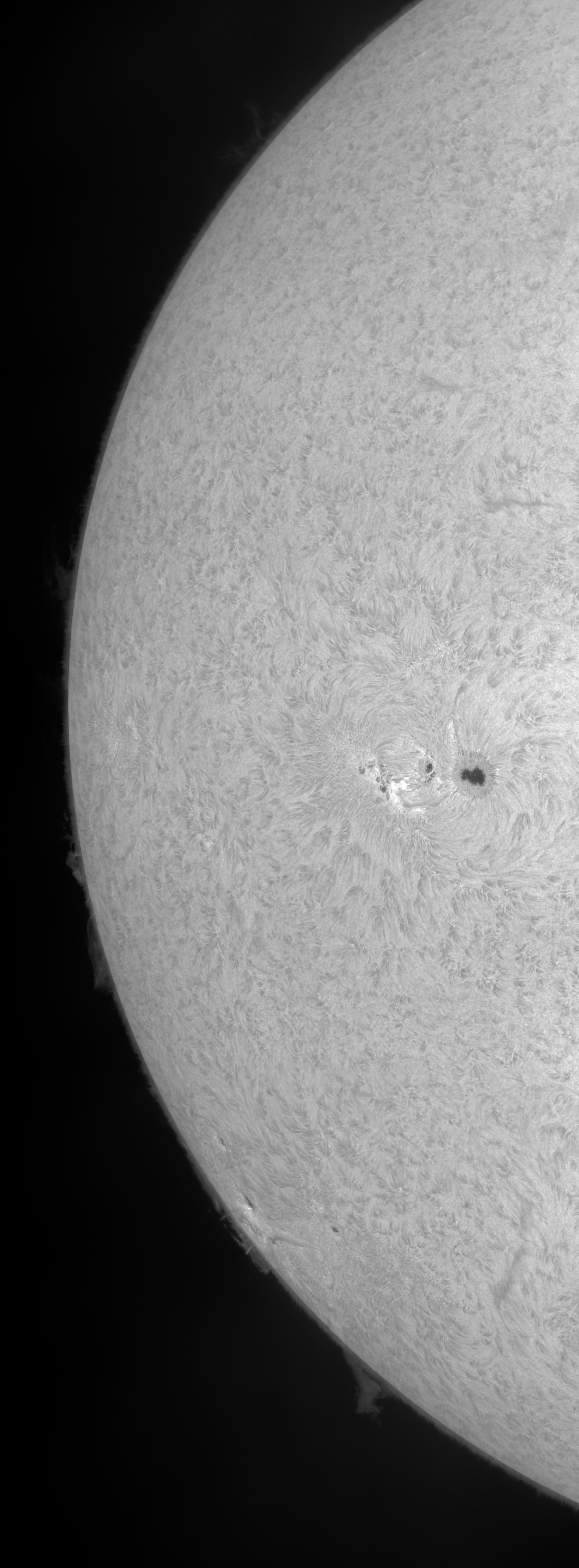 Frische Aktivität im Osten der Sonne