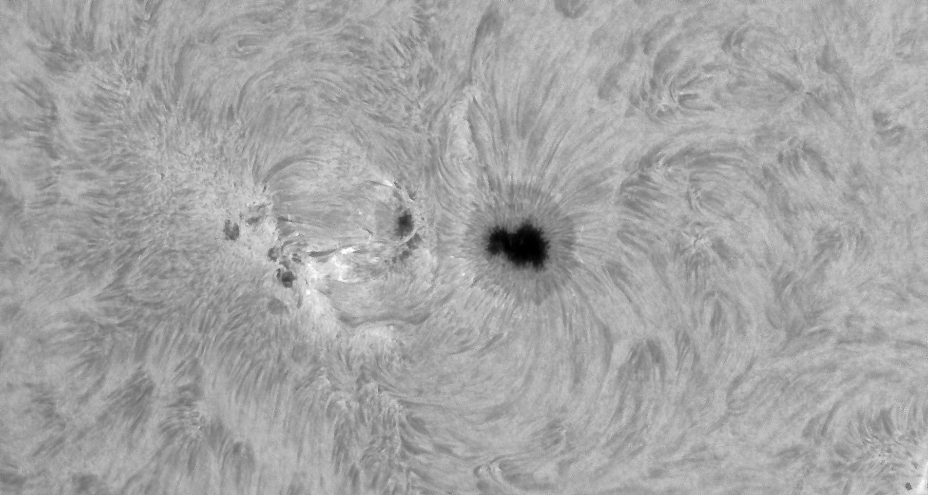 Wachsende Fleckengruppe AR 4191