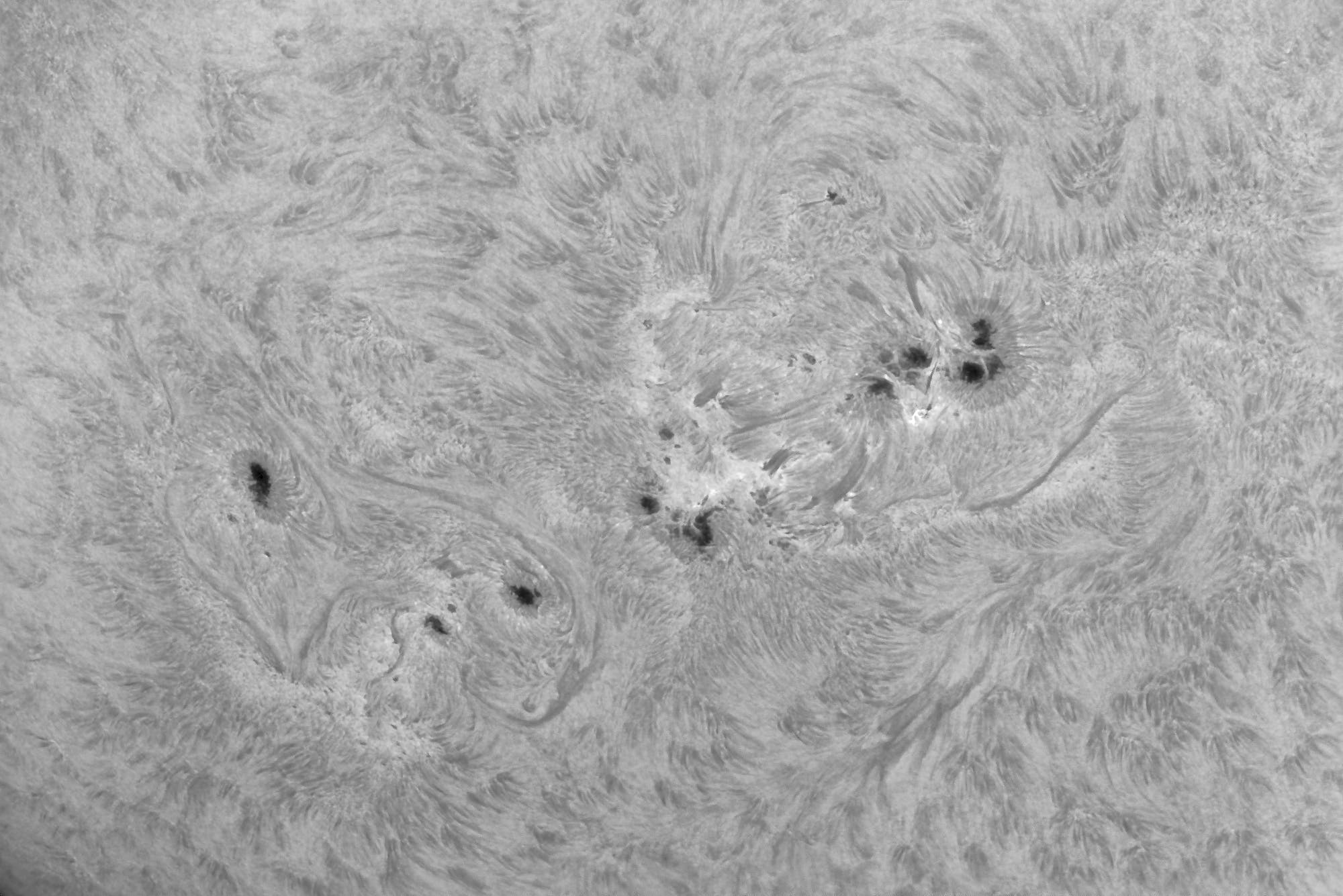 Spannende Gruppe AR 4197 am 28. August