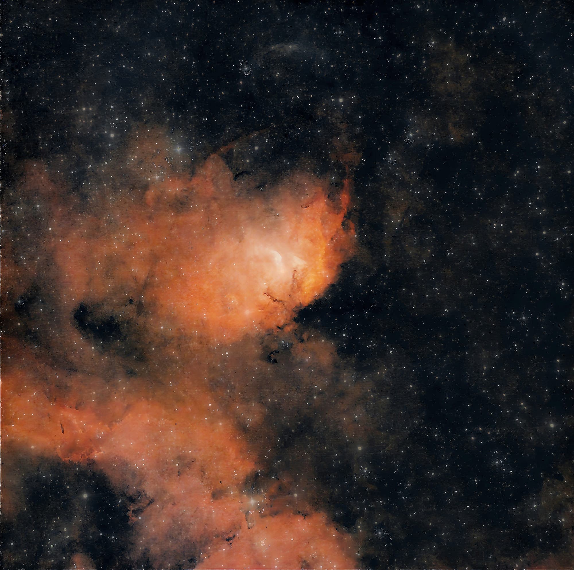 Der Tulpennebel Sh2-101