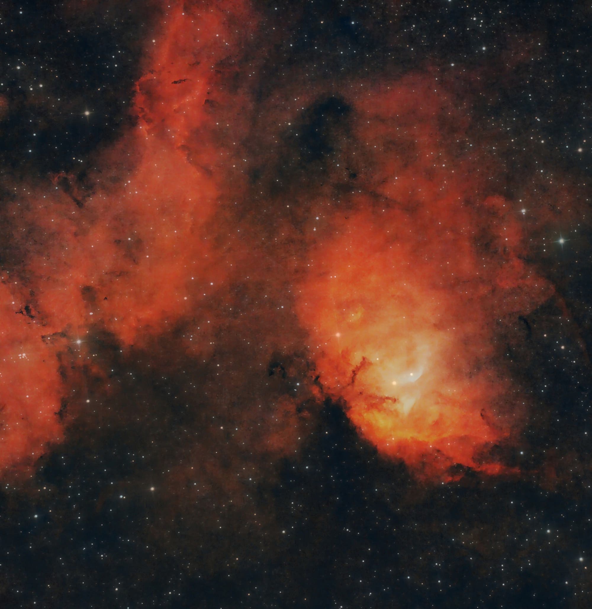 Der Tulpennebel Sh2-101