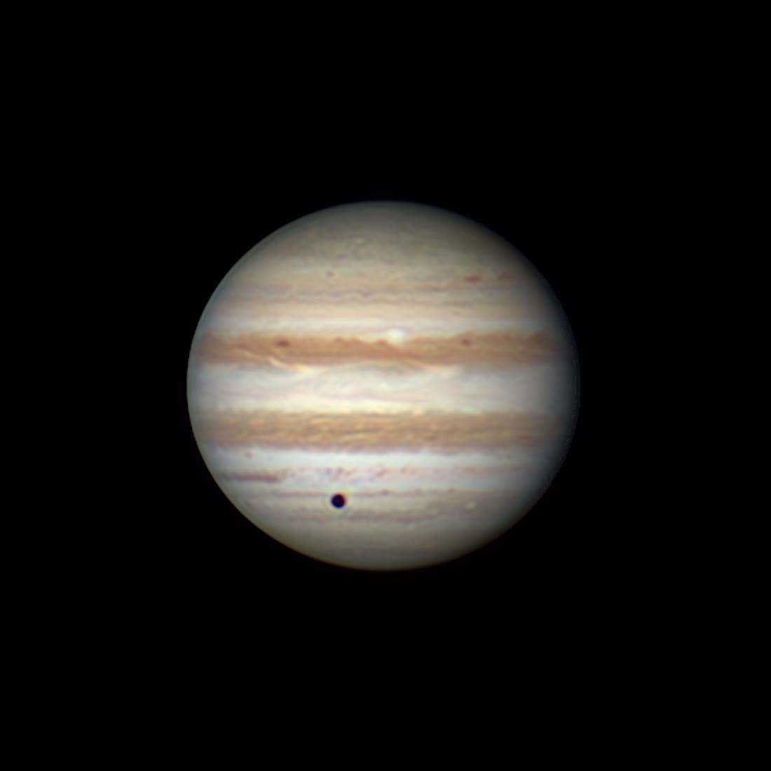 Jupiter mit Kallisto am Morgen des 19. Oktober 2025