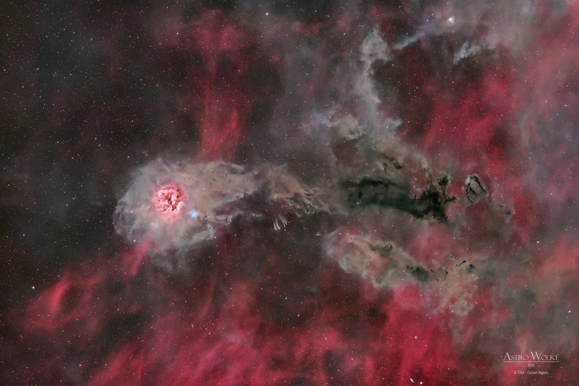 IC 5146 - Kokon-Nebel