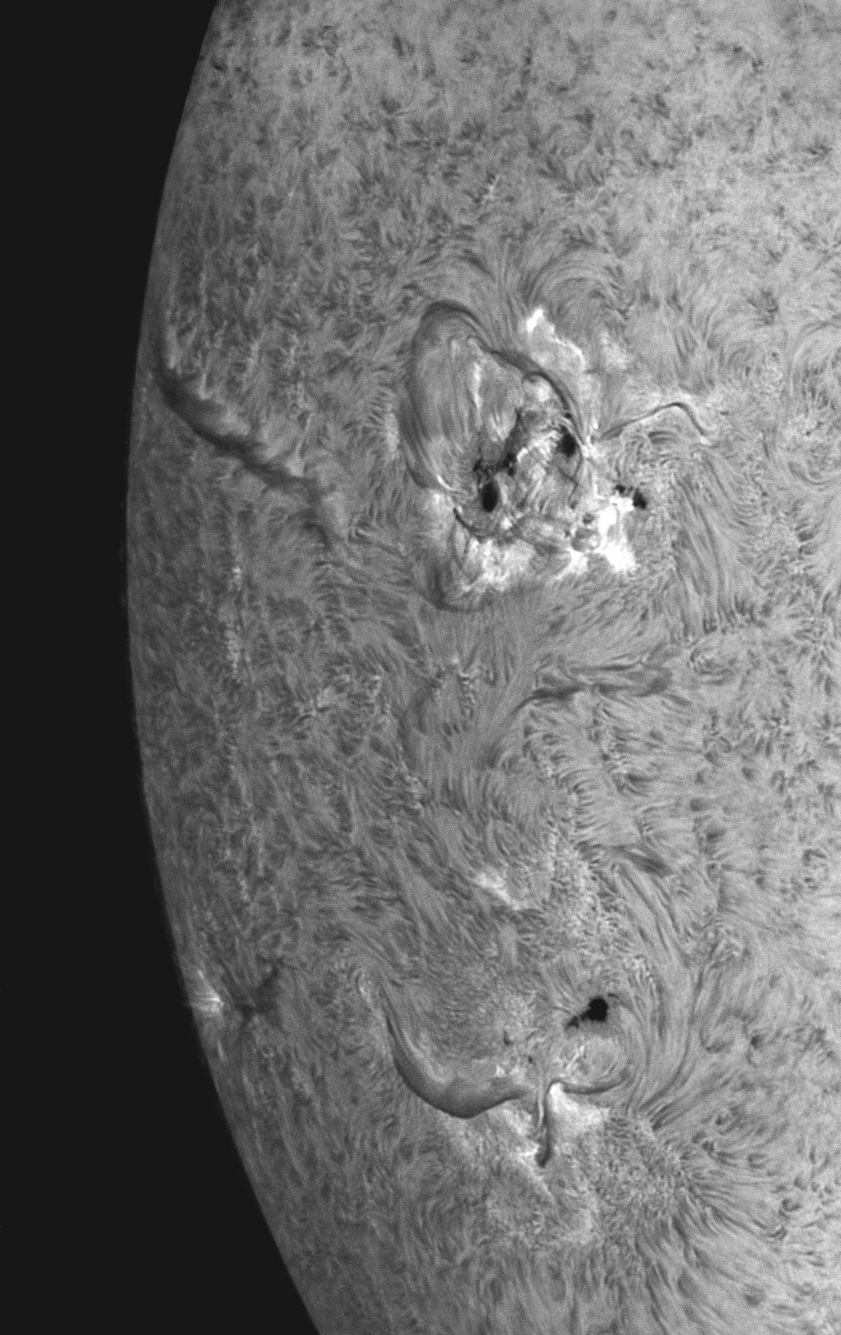 Neue Aktivität am Ostrand der Sonne