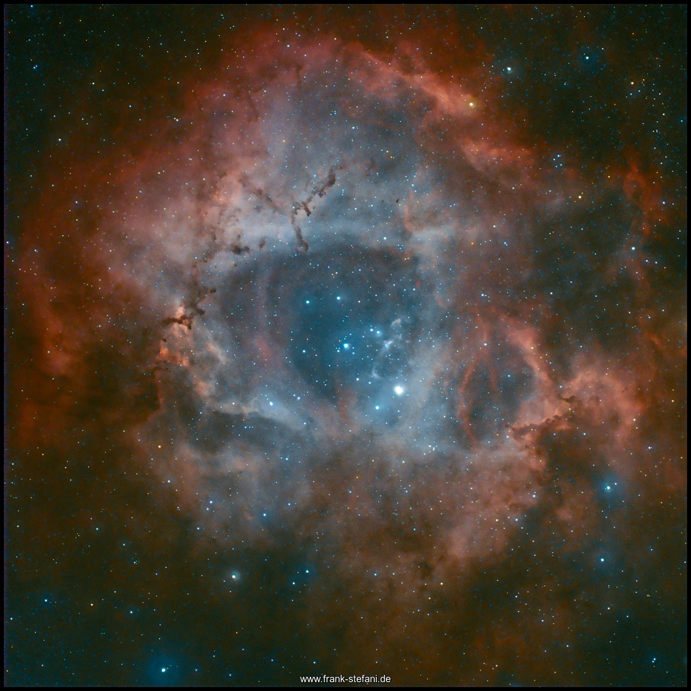 NGC 2244 (und Umgebung) - Ein Röslein im Sternbild Einhorn