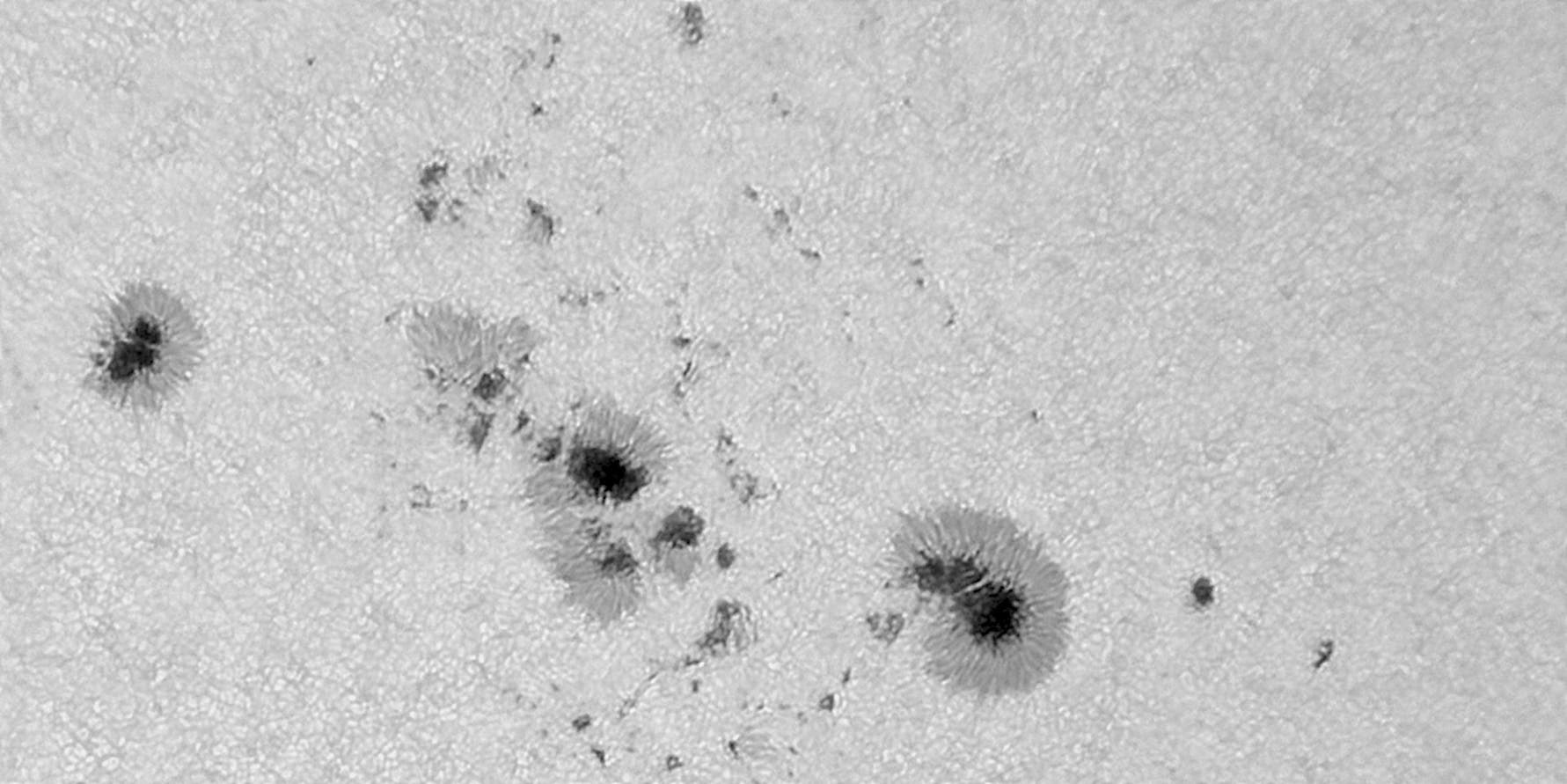 Sonne mit dem »Brummerfleck« AR 4100 am 2. Juni 2025