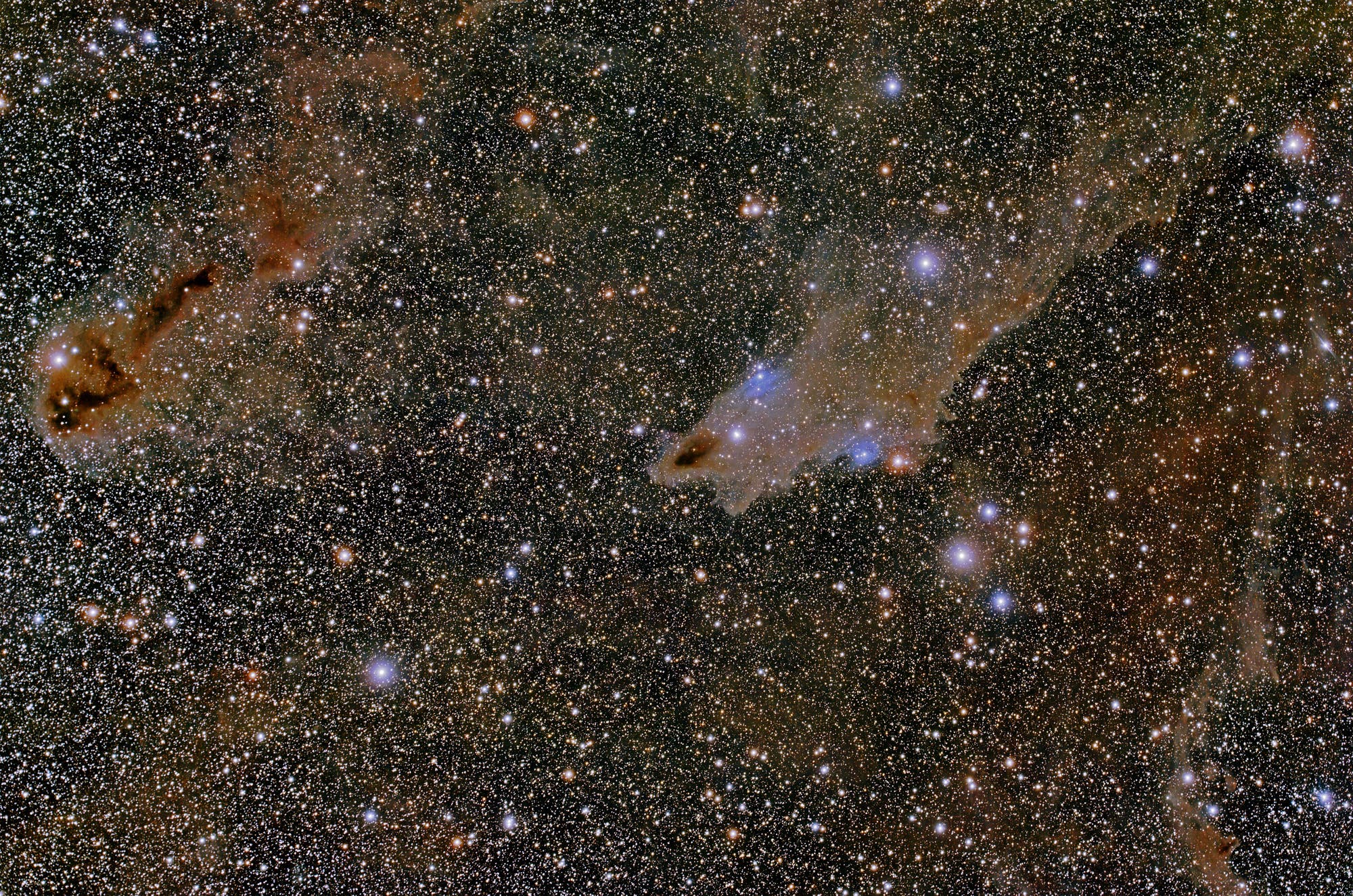 Haifischnebel LDN 1235 mit Anglerfischnebel LDN 1251