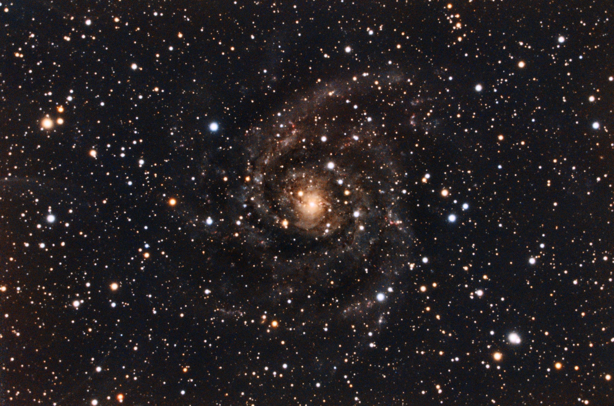 IC 342 – »versteckte Galaxie«