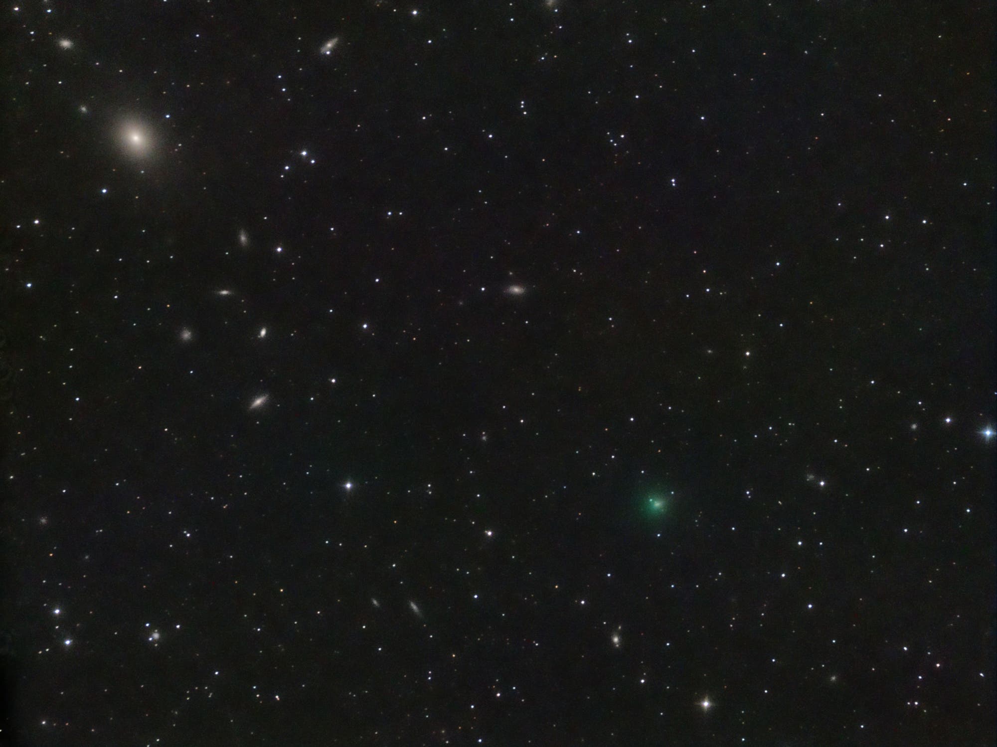 Komet 24P/Schaumasse