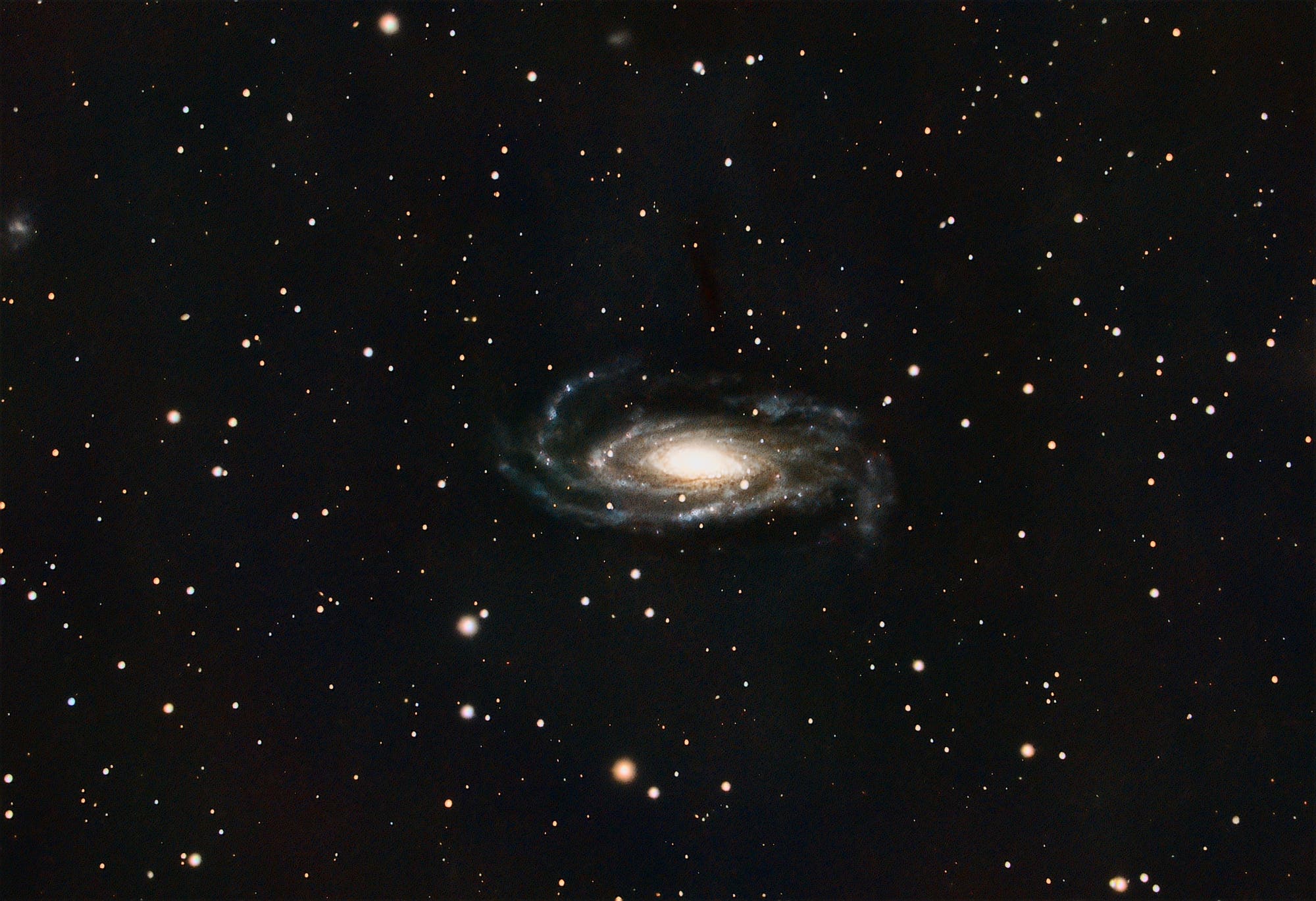 NGC 5033 »Wasserkäfer-Galaxie«