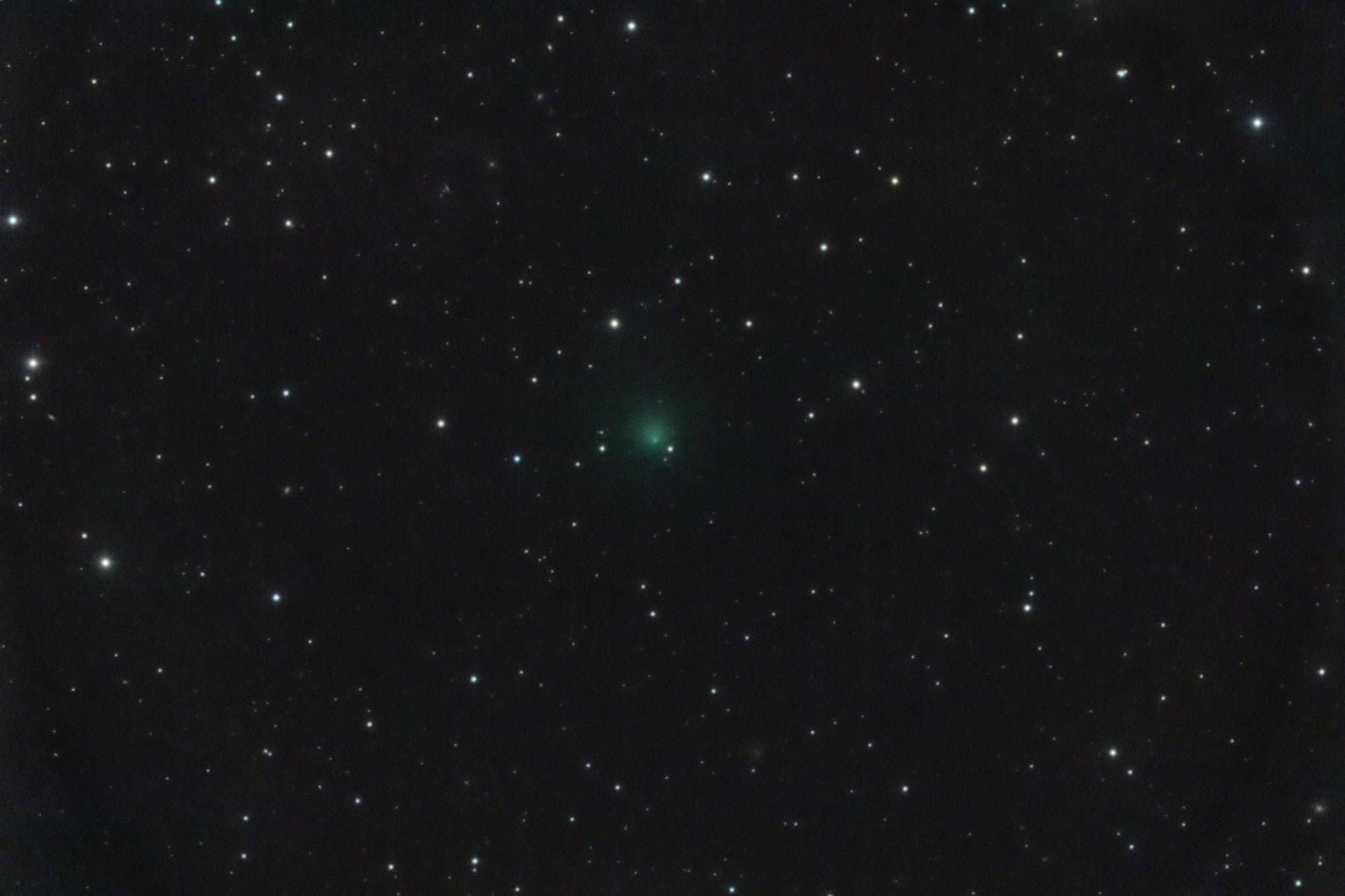 Return of the comet Encke