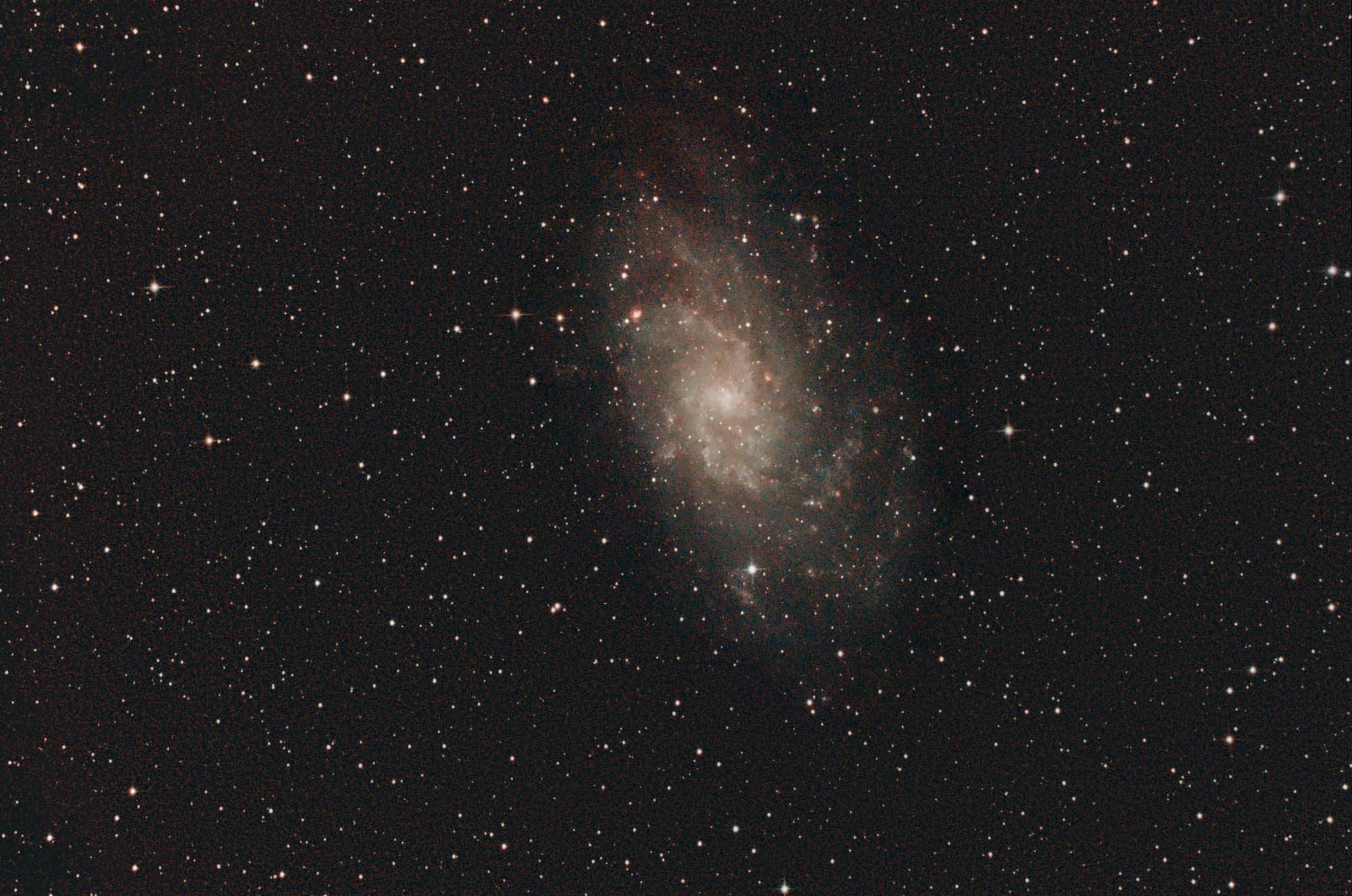 Triangulumgalaxie Messier 33 im Sternbild Dreieck (Triangulum)