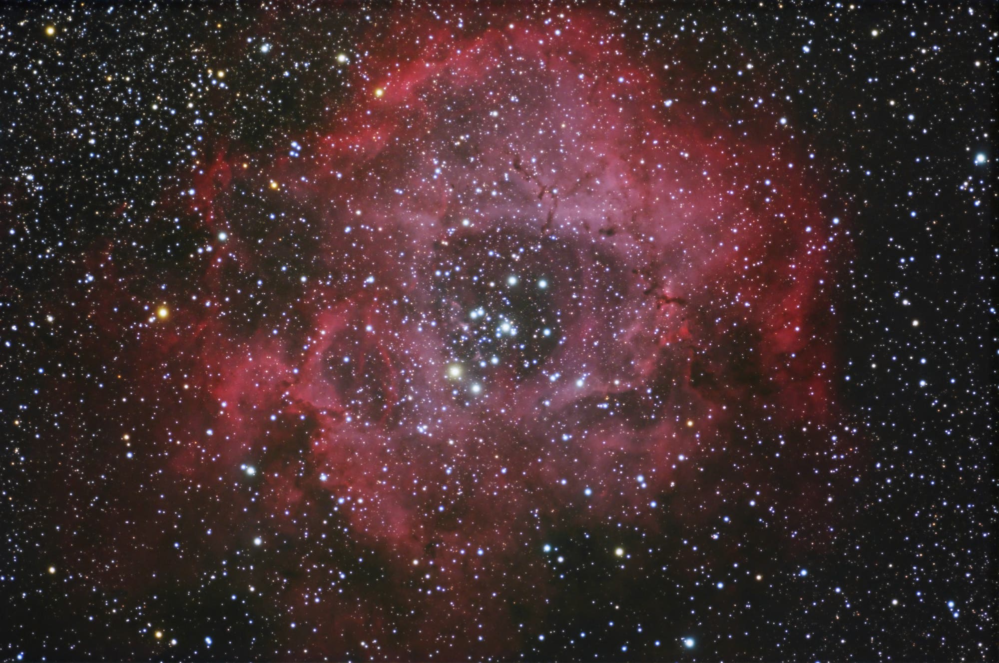 NGC 2238 - Rosettennebel
