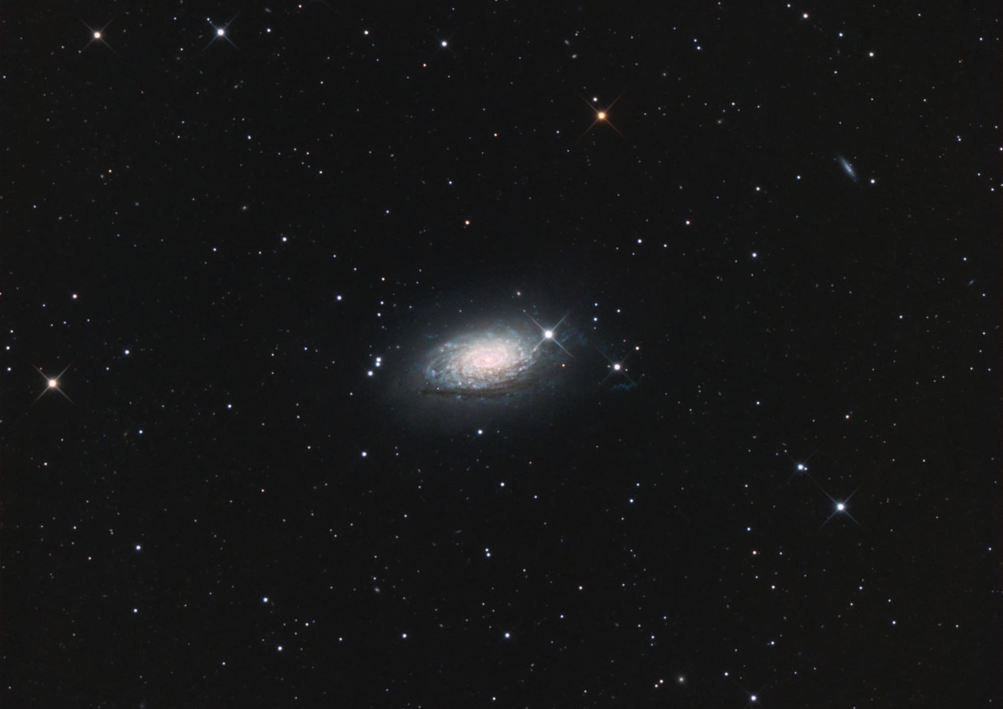M 63 Sonnenblumengalaxie