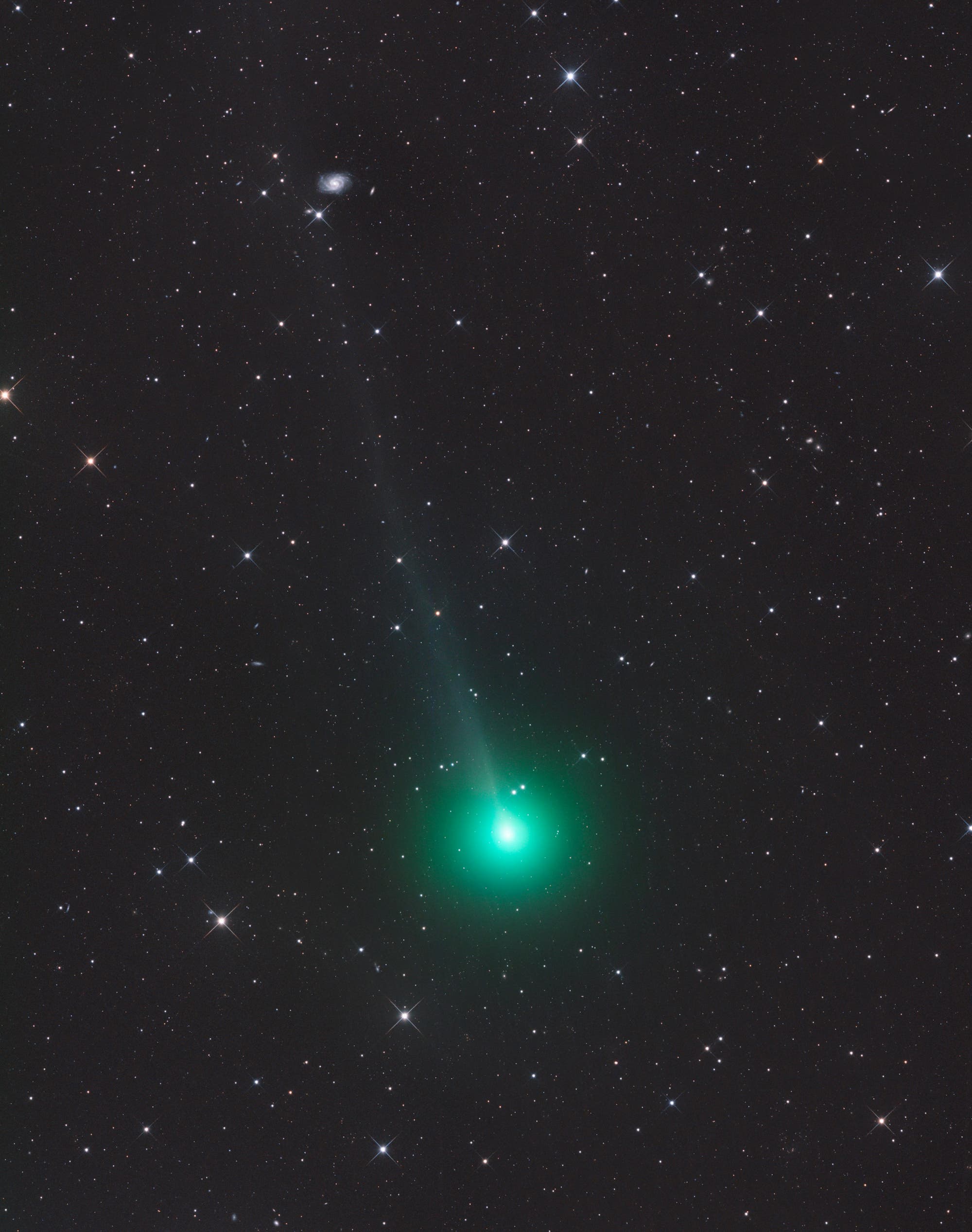 Komet 62P/Tsuchinshan