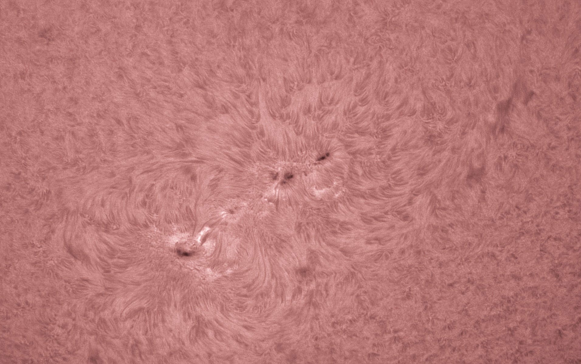 Großes H-Alpha-Aktivitätsgebiet auf der Sonne