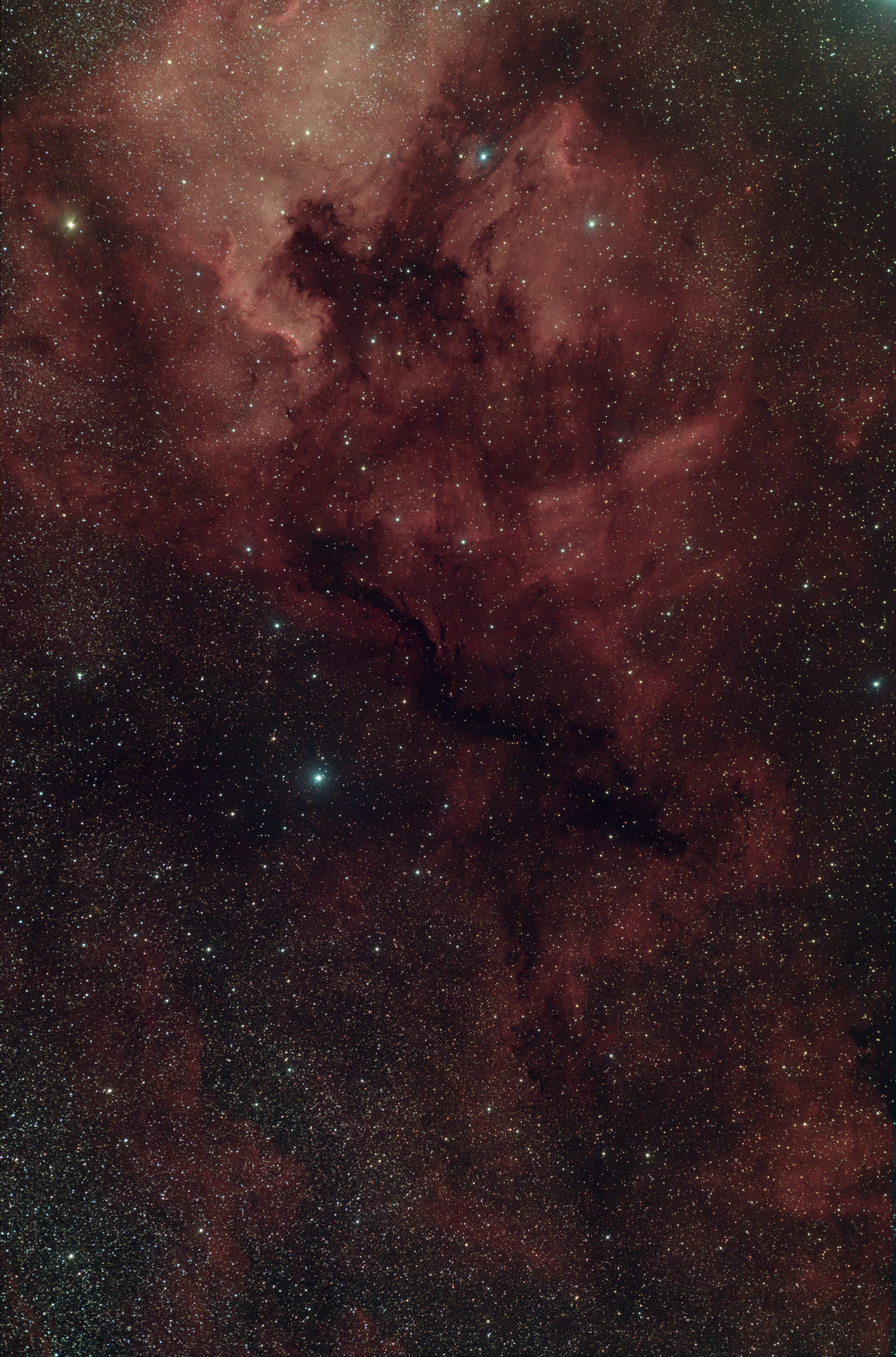 Dunkelwolke IC5068 suedlich des Nordamerikanebels