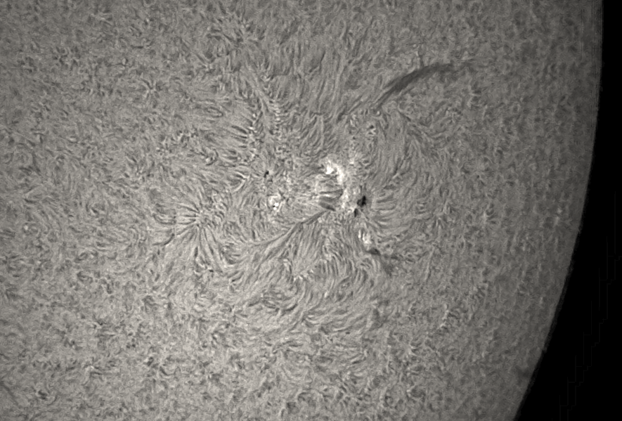 Sonnenfleck 2699 im H-Alpha-Licht am 14. Februar 2018