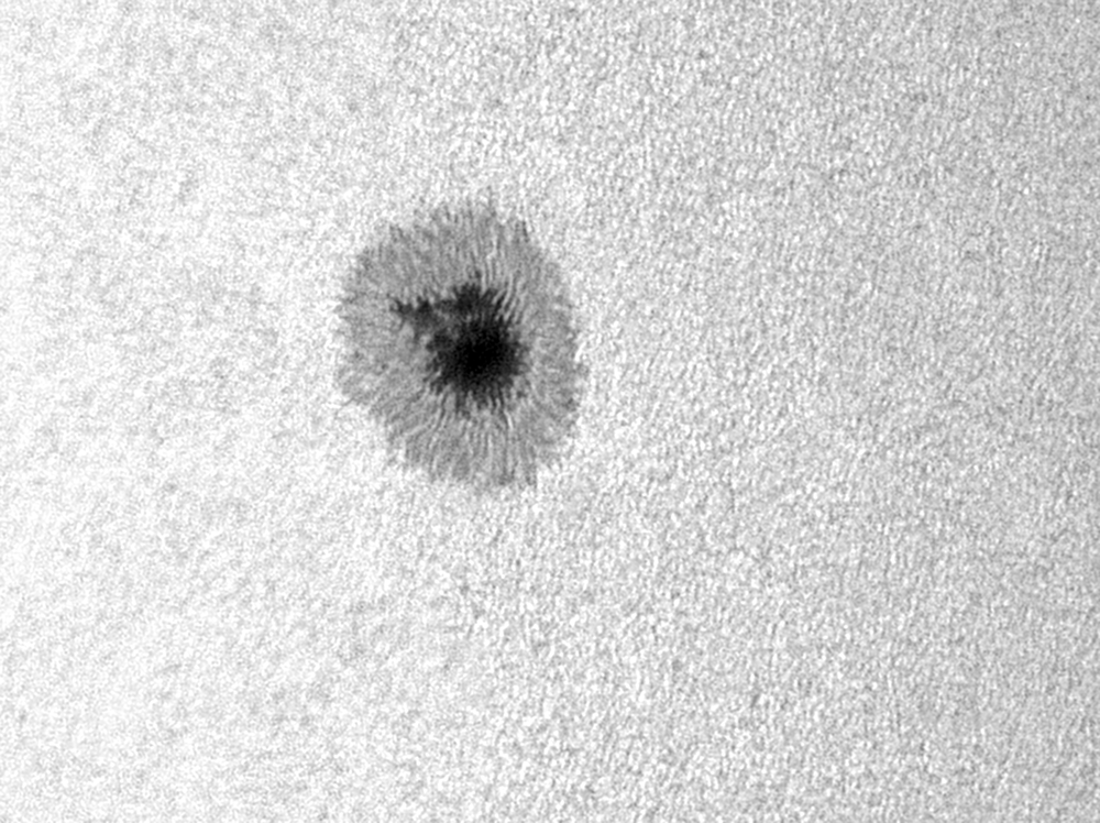 Sonnenfleck AR 2738 am 16. April 2019