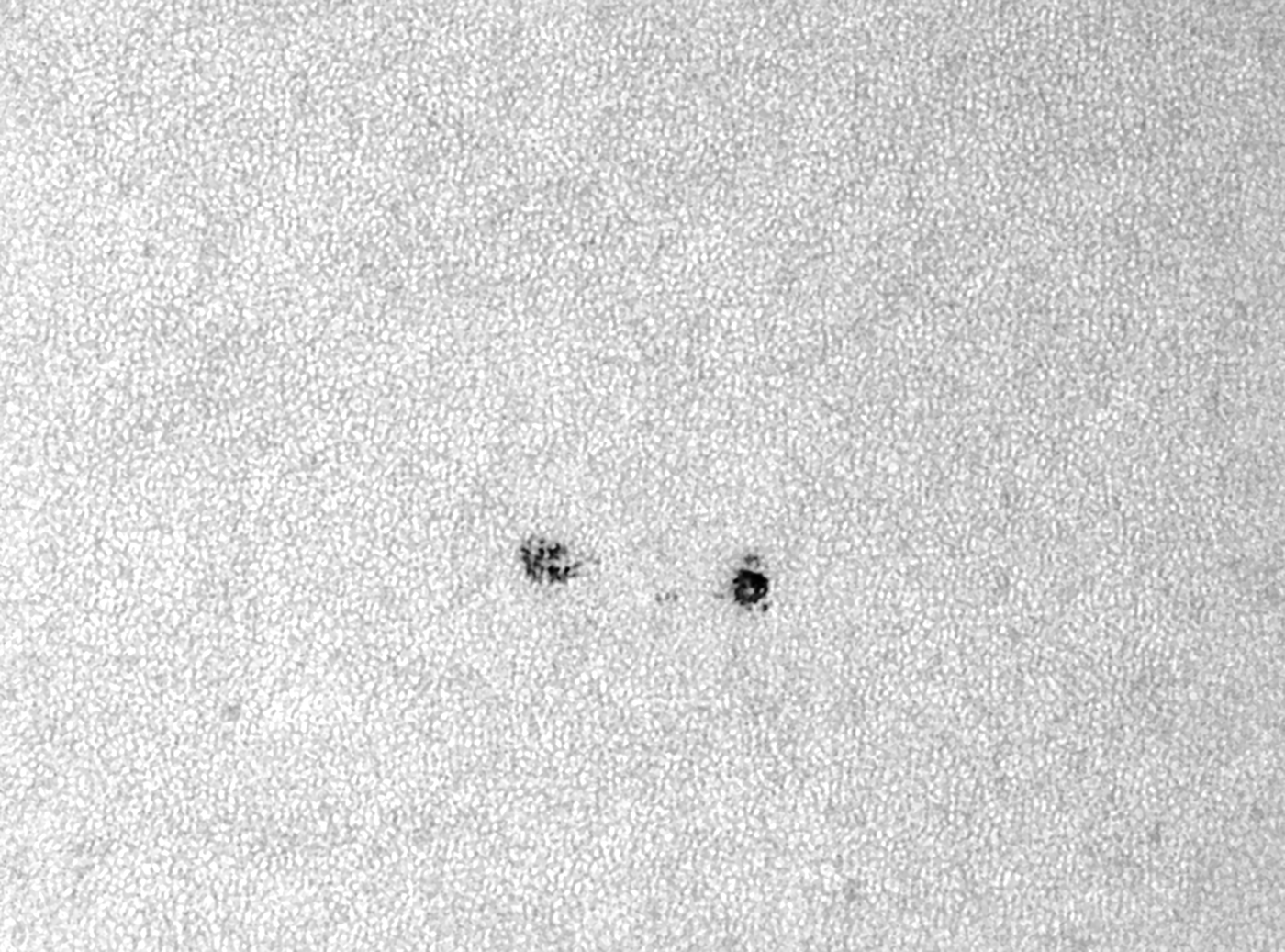 "Die Neuen" auf der Sonne - AR 2739 am 18. April 2019