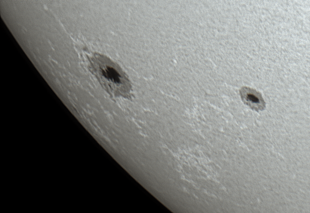Die neuen Sonnenflecken AR 2785 und 2786 im Weißlicht am 24. November 2020