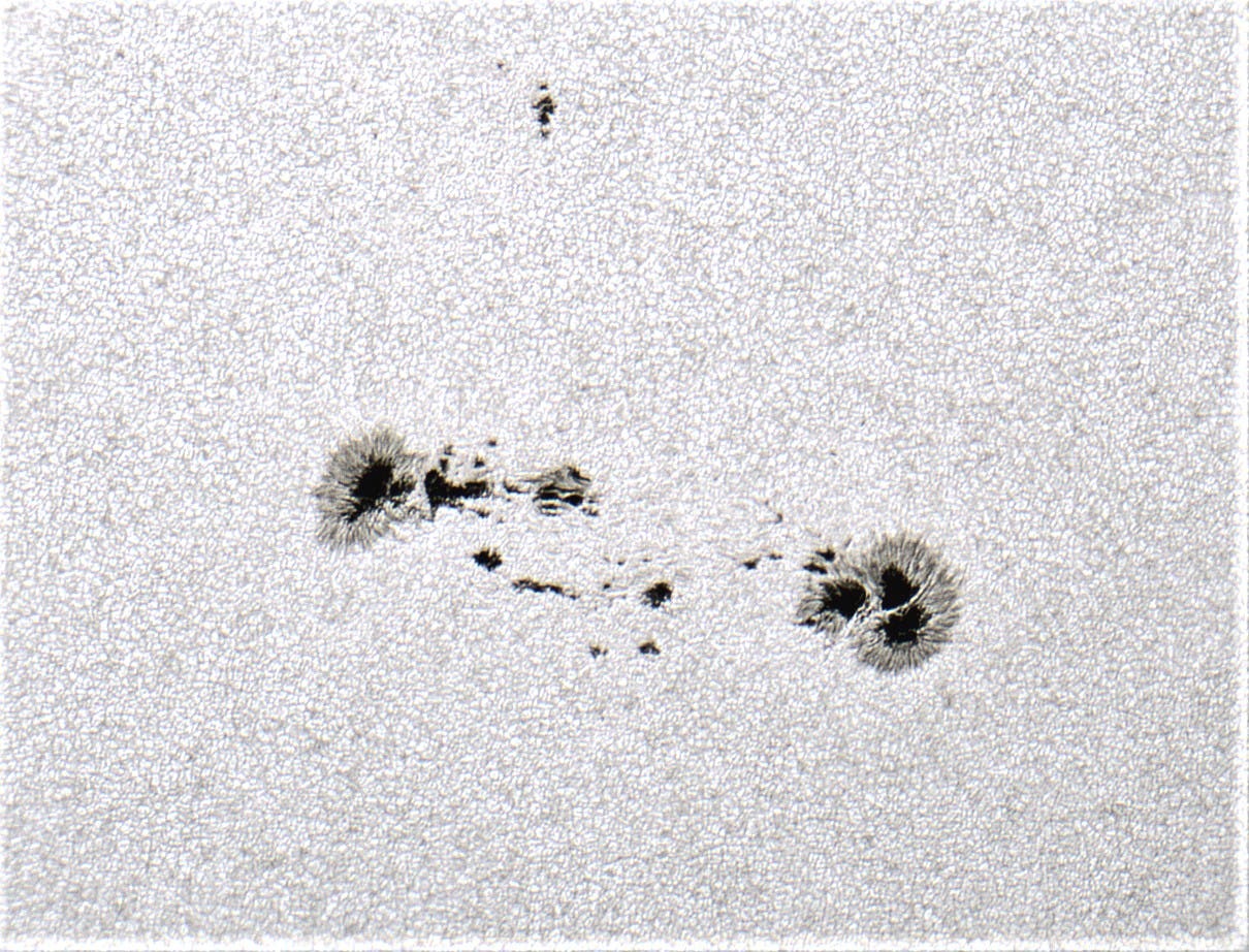 Sonnenfleck AR13319 am 31. Mai 2023