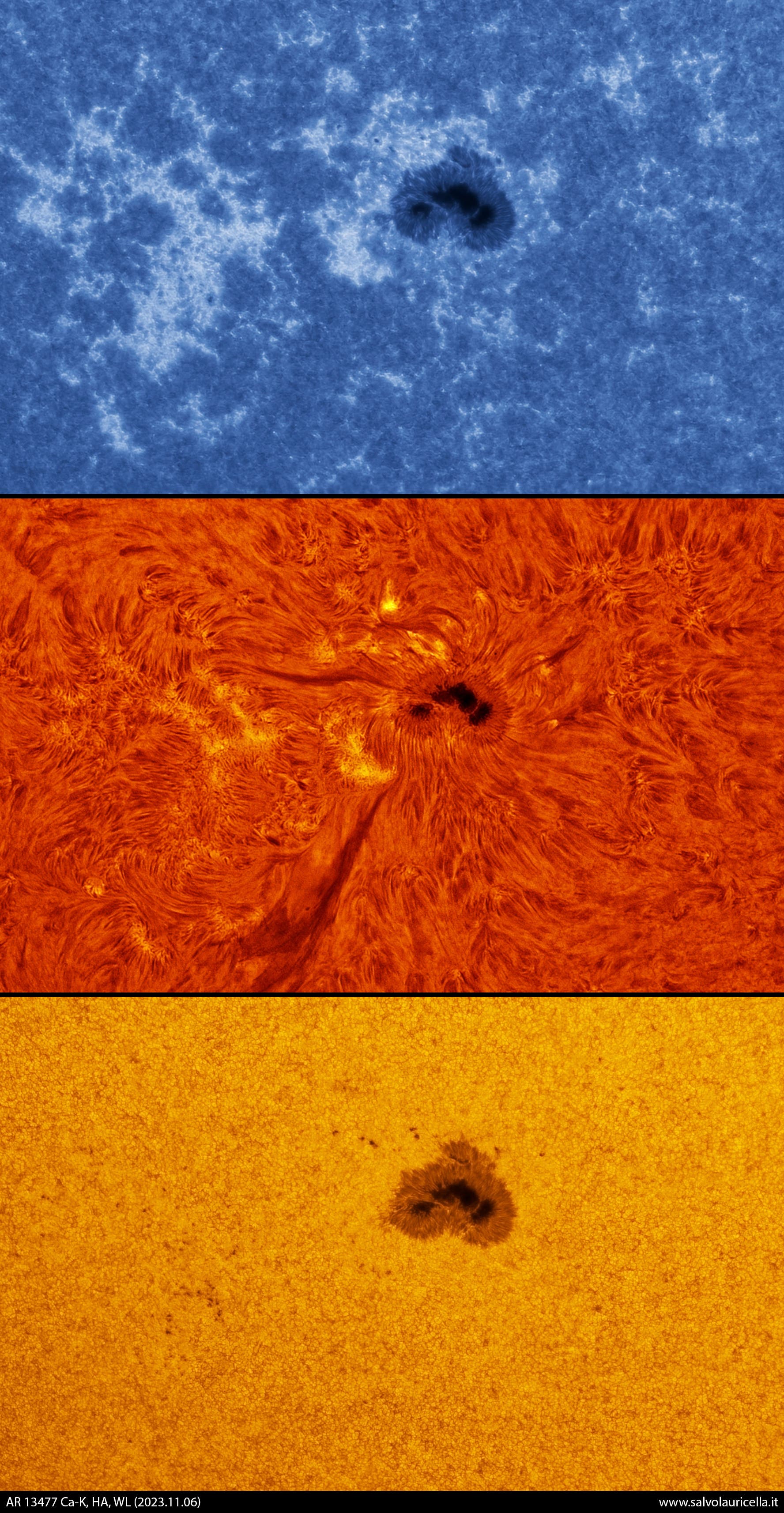 AR 13477 WL, Ca-K, H-Alpha