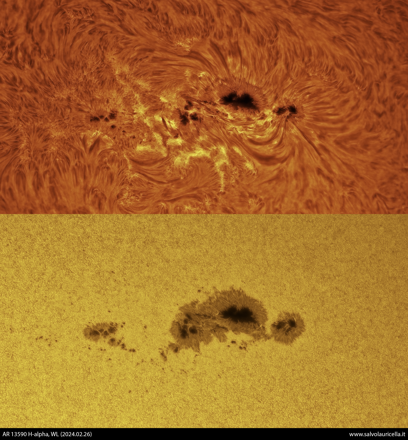 Große Sonnenfleckengruppe in H-Alpha und im weißen Licht