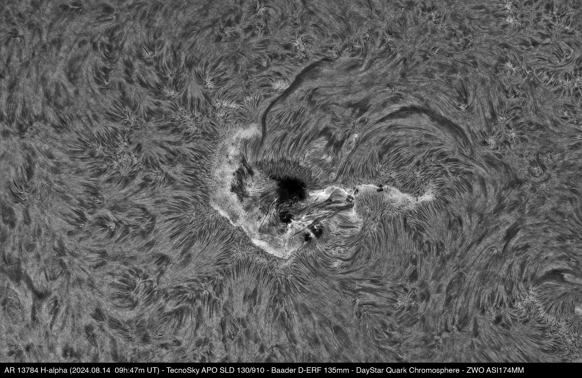 AR 13784 H-alpha