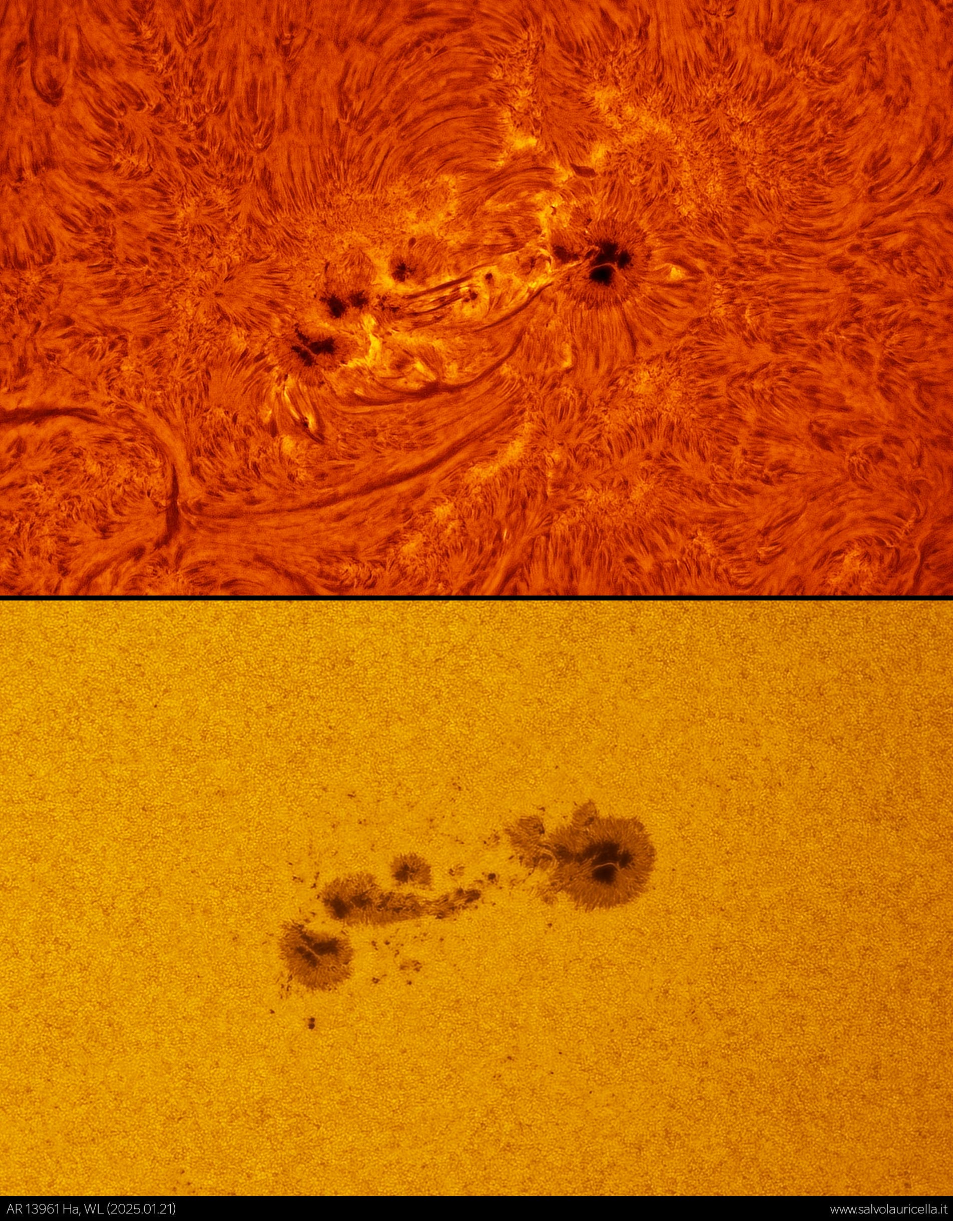 AR 13961 in H-alpha and white light