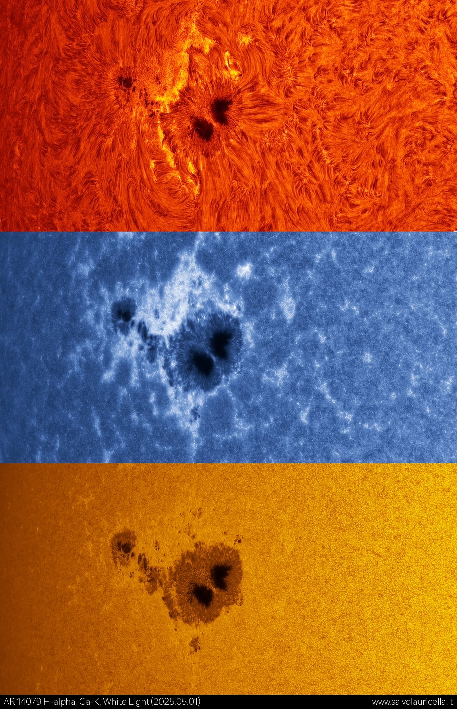AR 14079 multi-spectrum