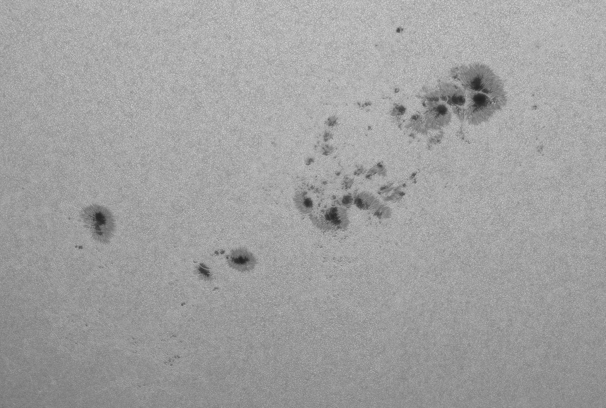 AR 14196, 14197, 14201 und 14202 vom 29. August 2025