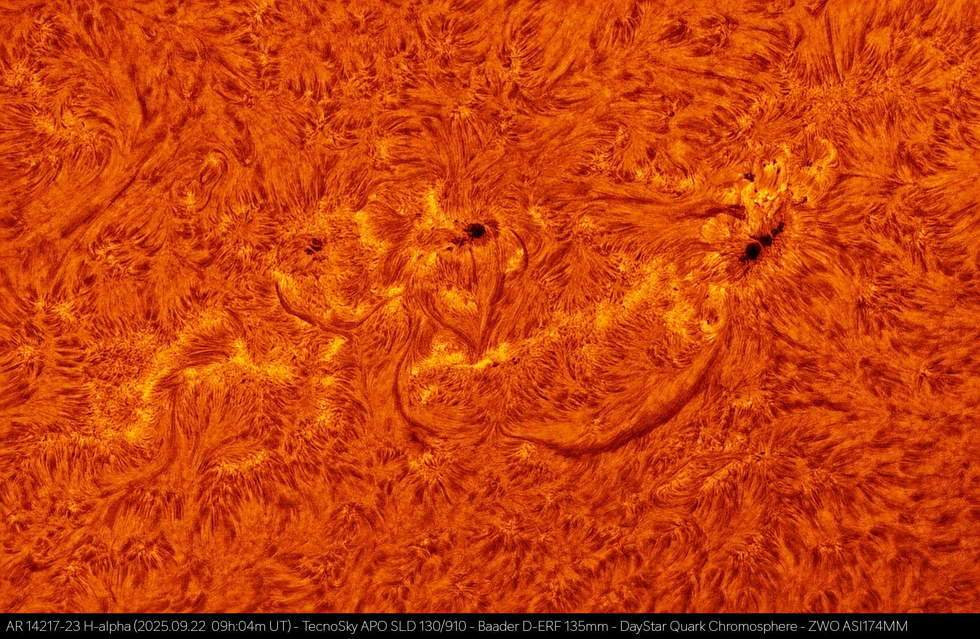 Active Regions 14217-23 on the Sun in H-alpha