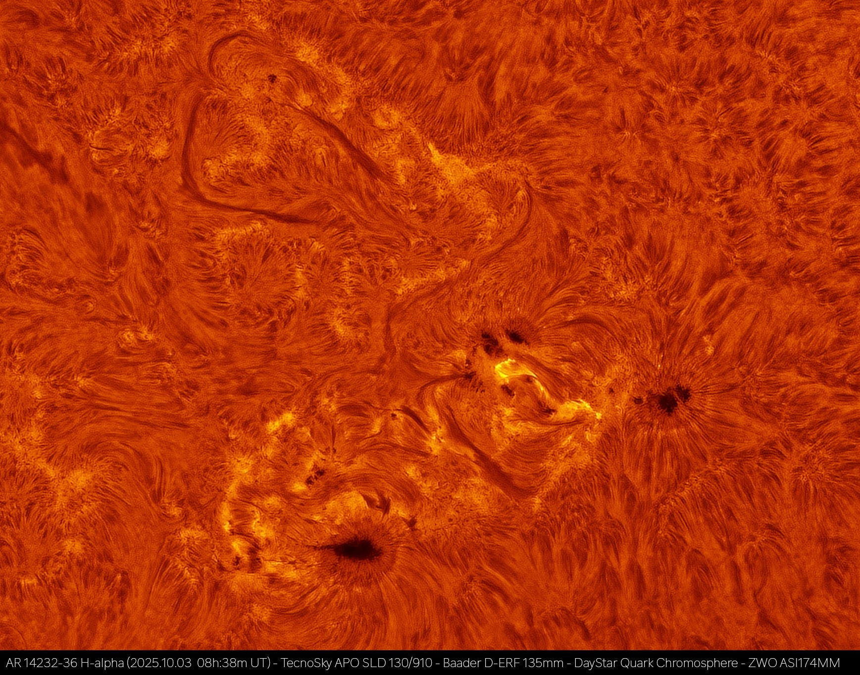 AR 14232-36 in H-alpha