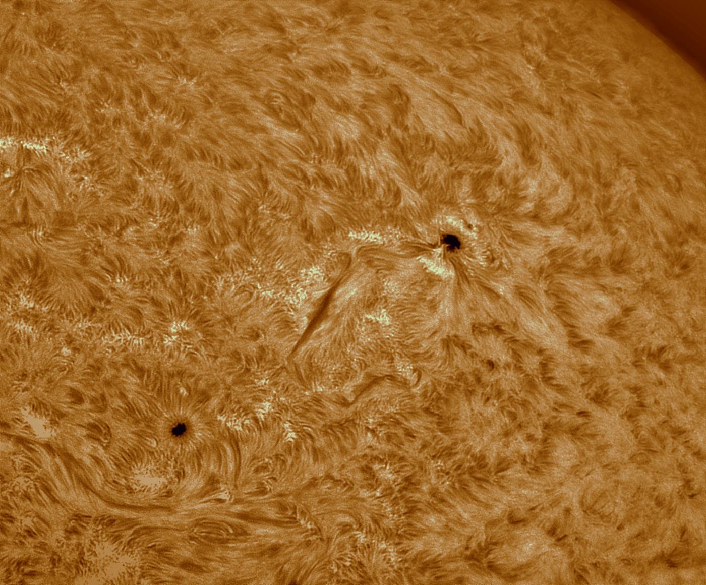 Sonne in H-Alpha AR3405 u. 3411