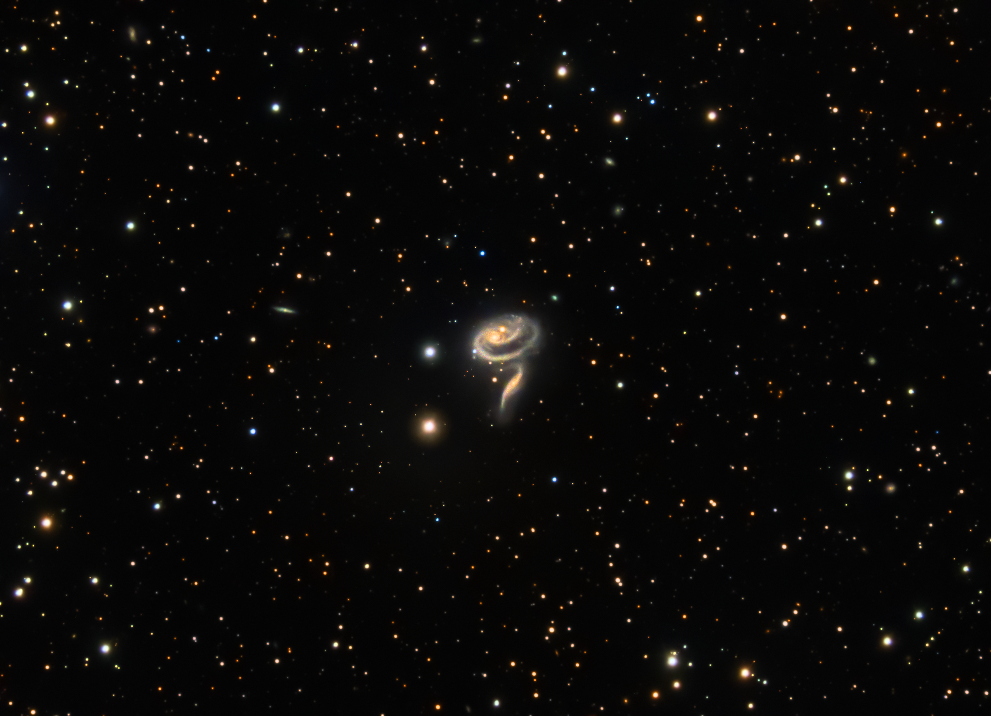 Arp 273 - The Cosmic Rose 